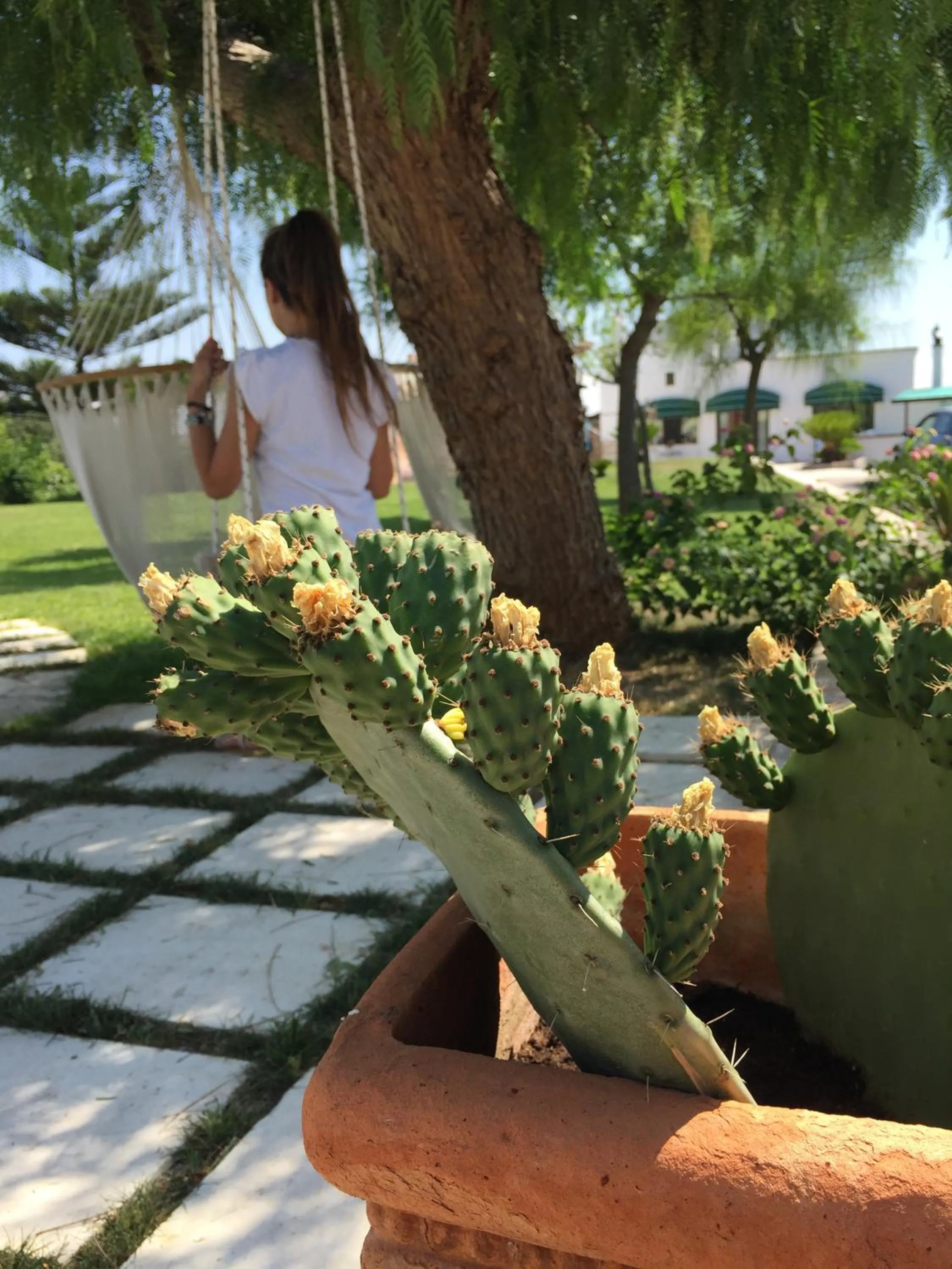 Garden in B&B Donna Luisa