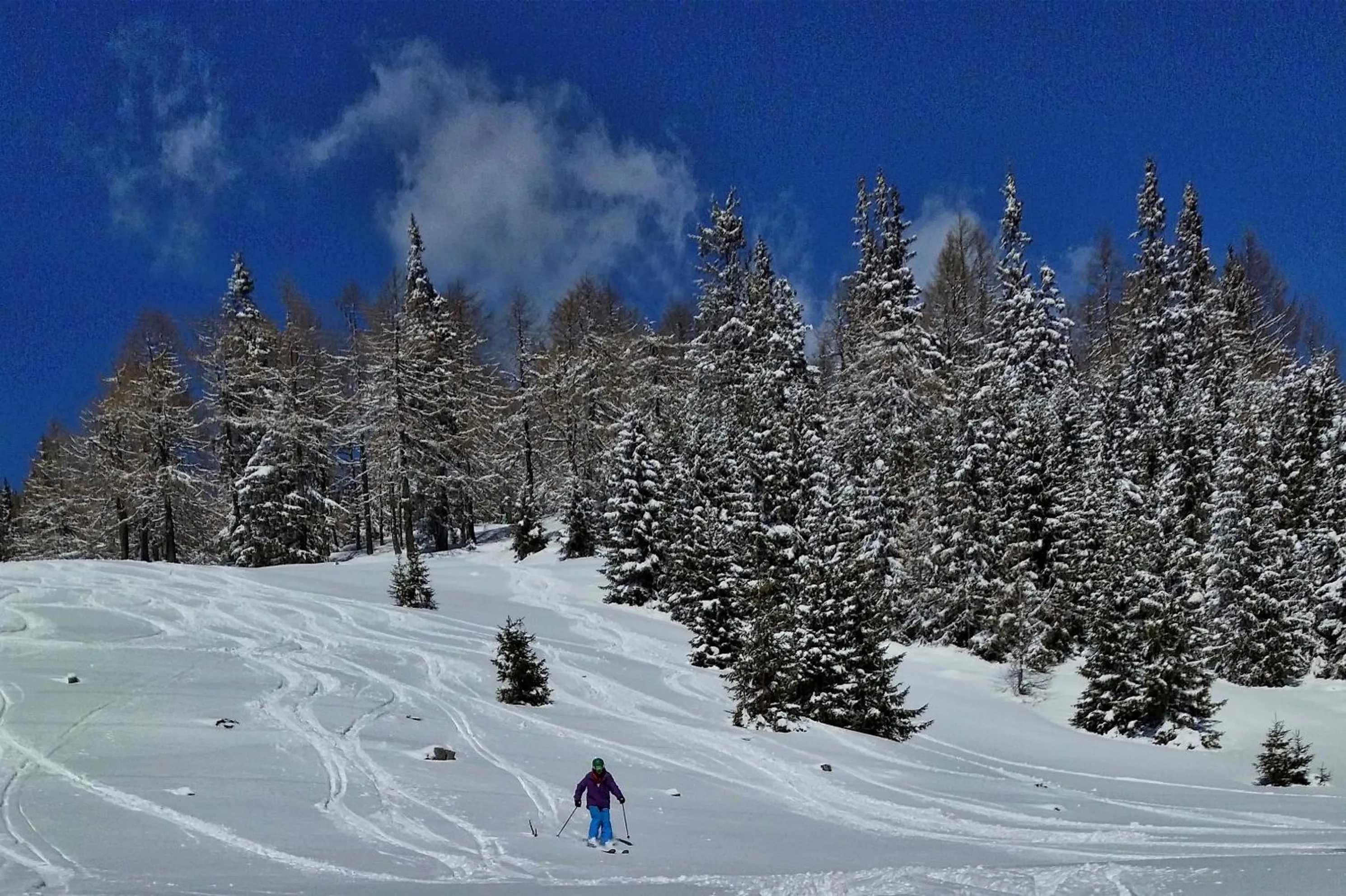 Skiing in Gasthaus Chalet Mur