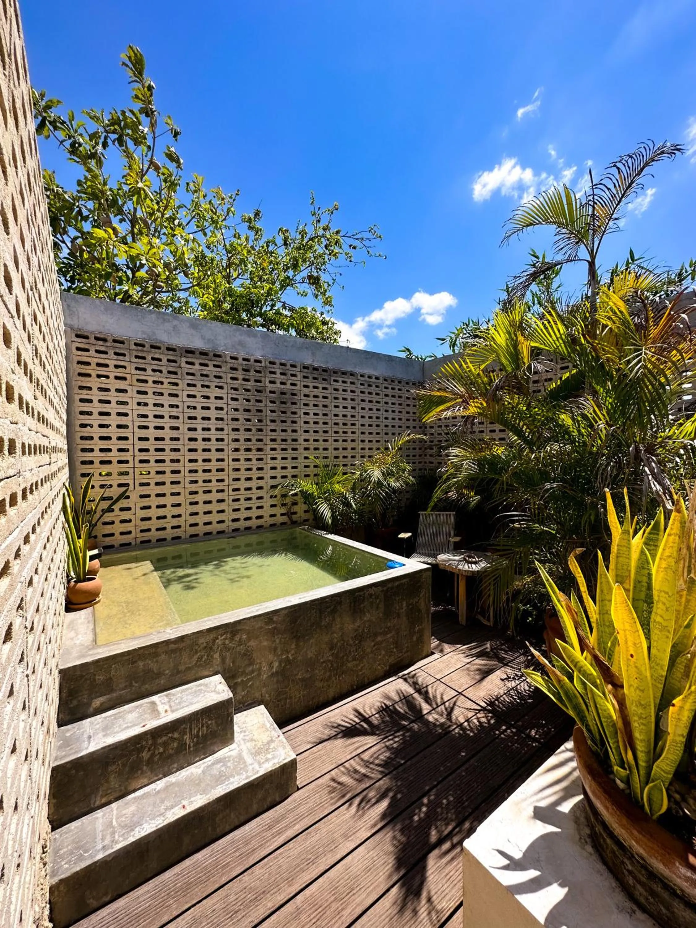 Garden view in CASA CHAKÁ BOUTIQUE