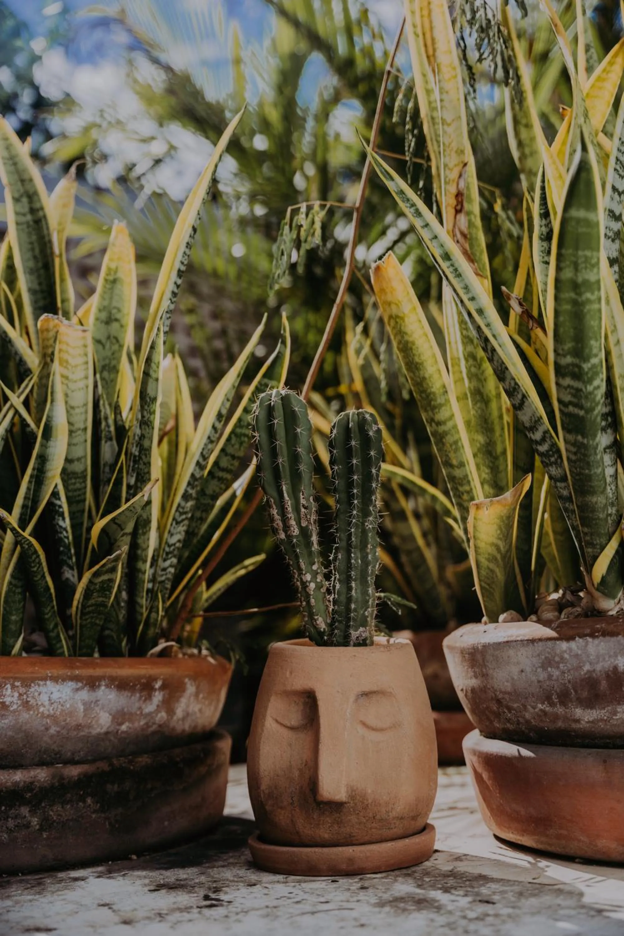 Off site in CASA CHAKÁ BOUTIQUE