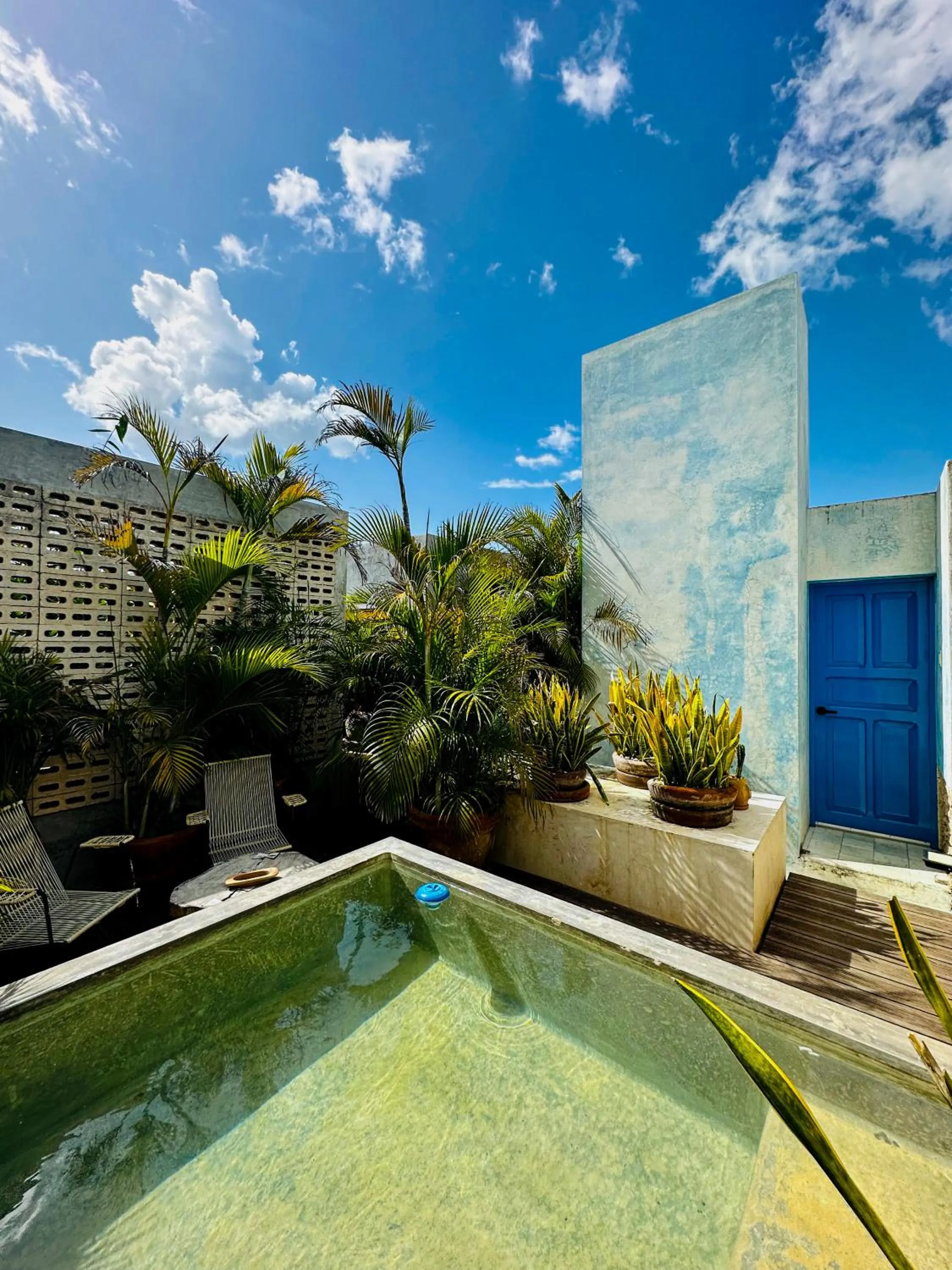 Garden view in CASA CHAKÁ BOUTIQUE