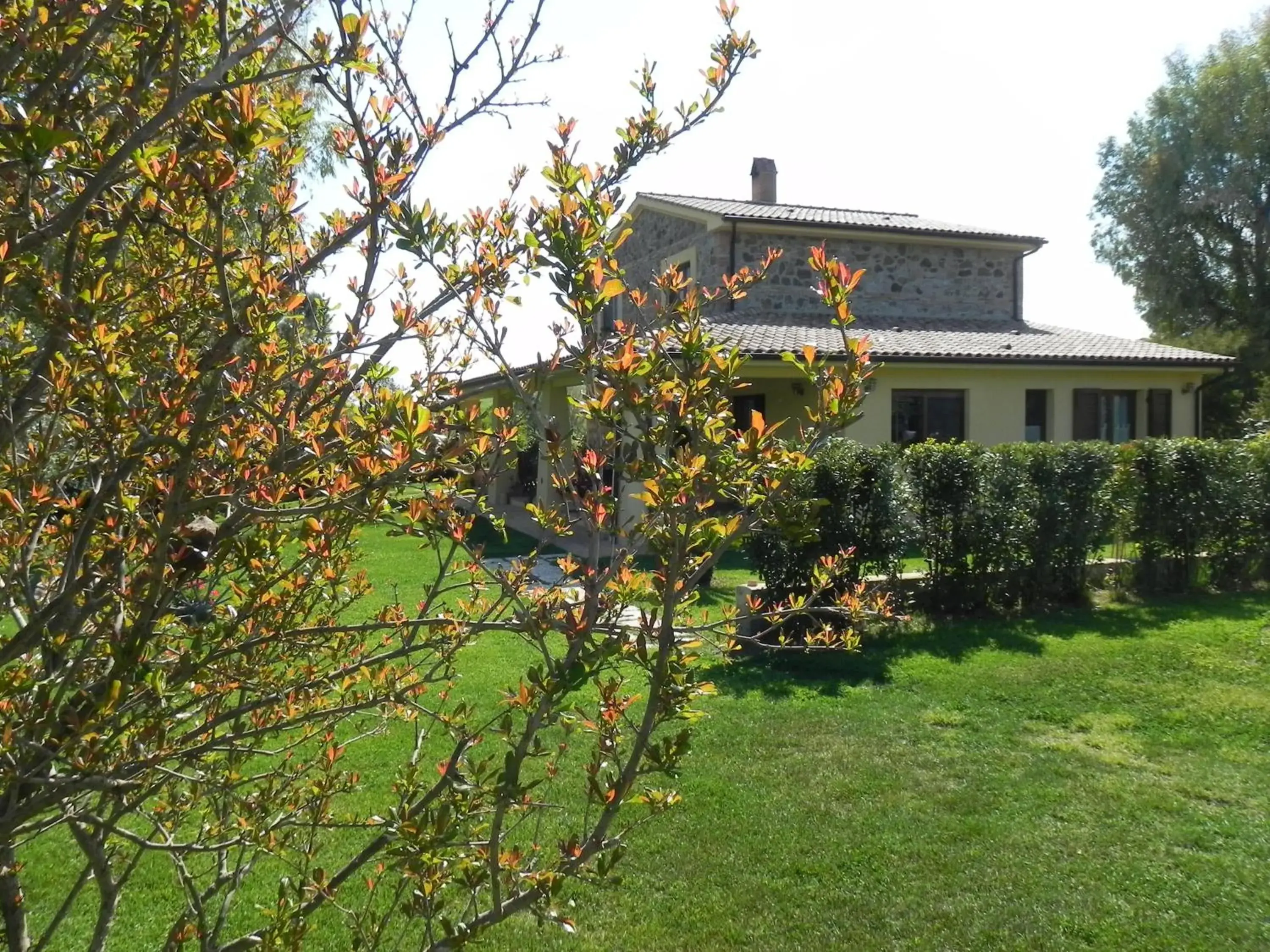 B&B Monte di Bù B&B Monte di Bù
