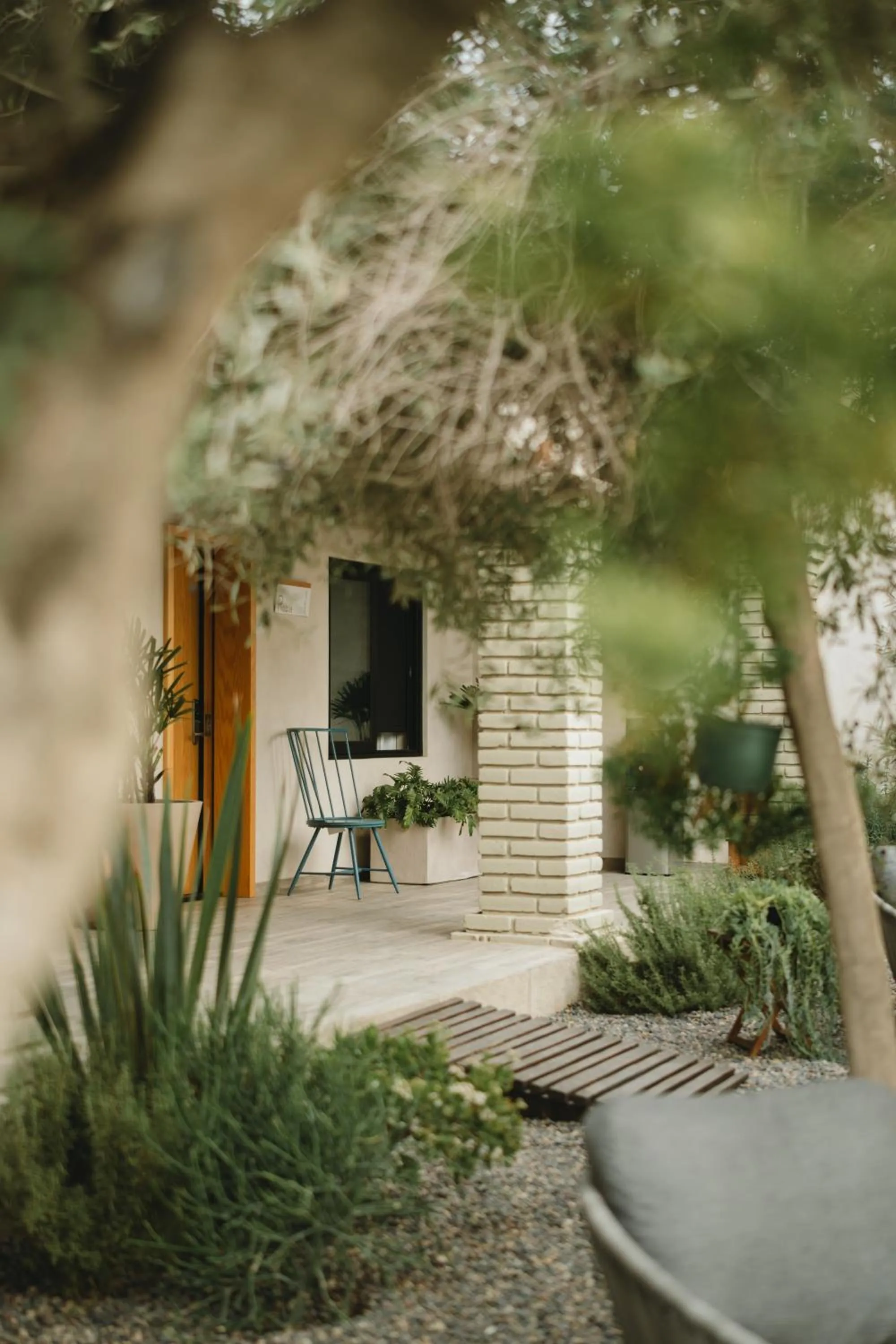 Property building in Casa Olivea