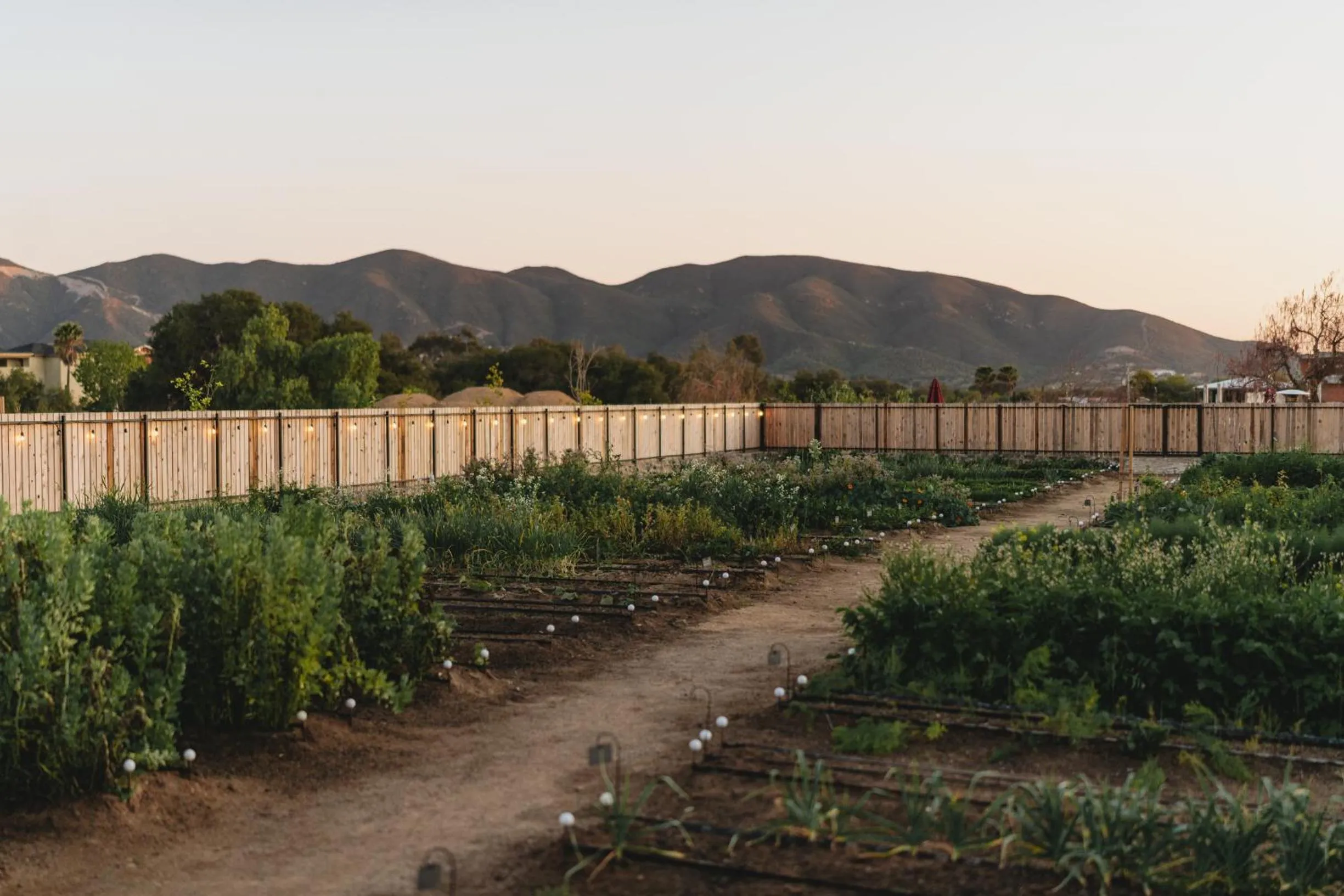 Spring in Casa Olivea