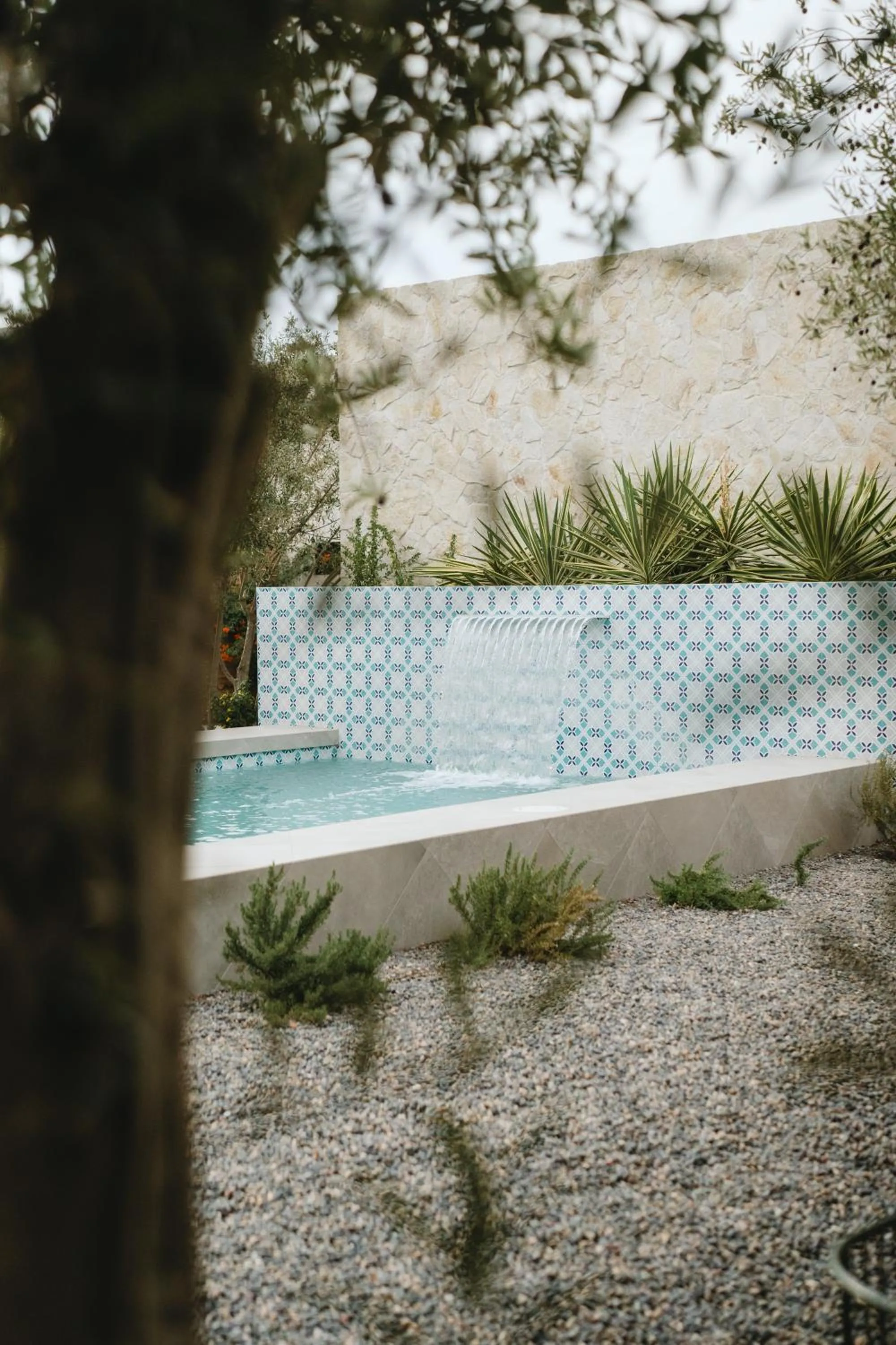 Garden in Casa Olivea