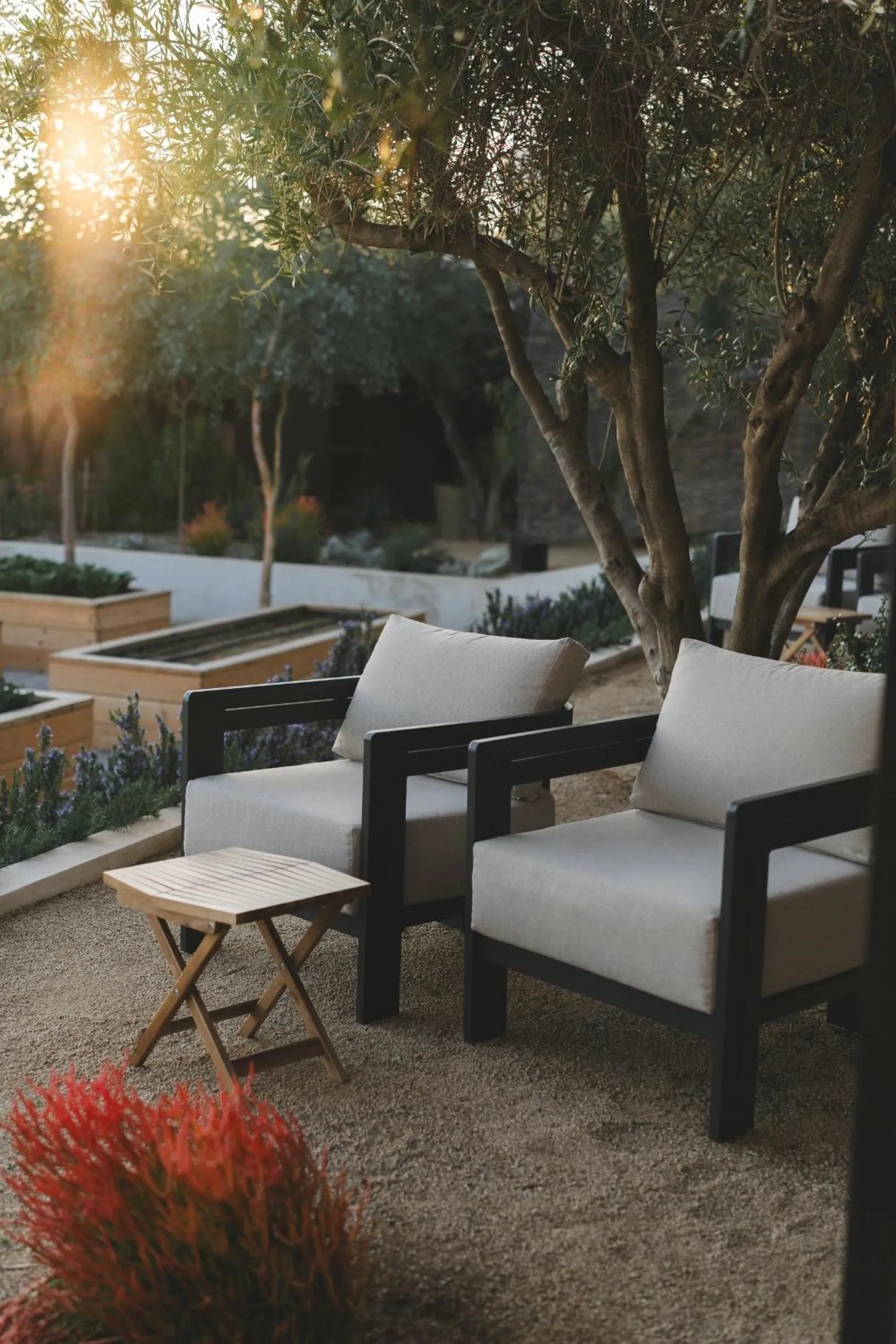 Restaurant/places to eat in Casa Olivea