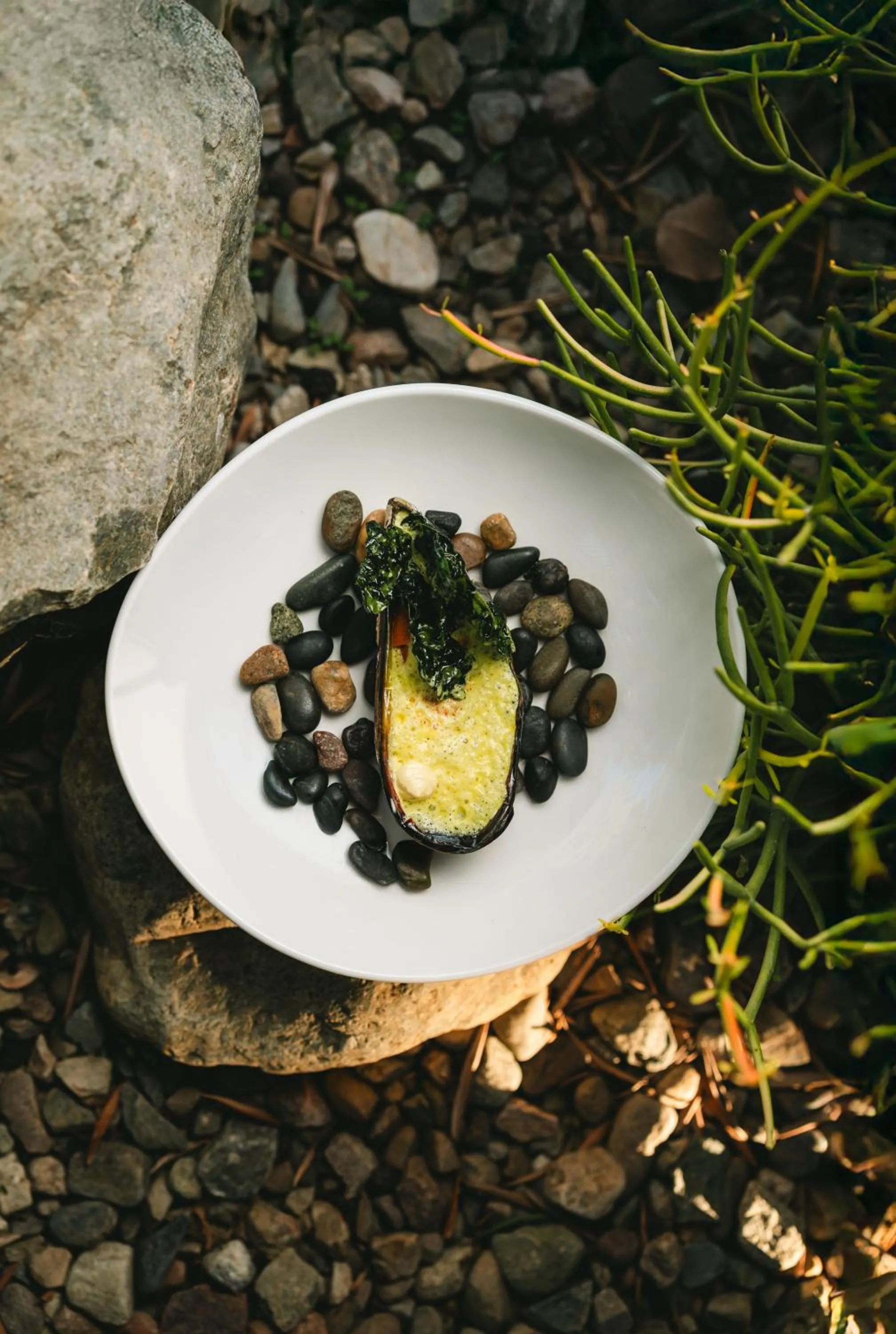 Restaurant/places to eat in Casa Olivea