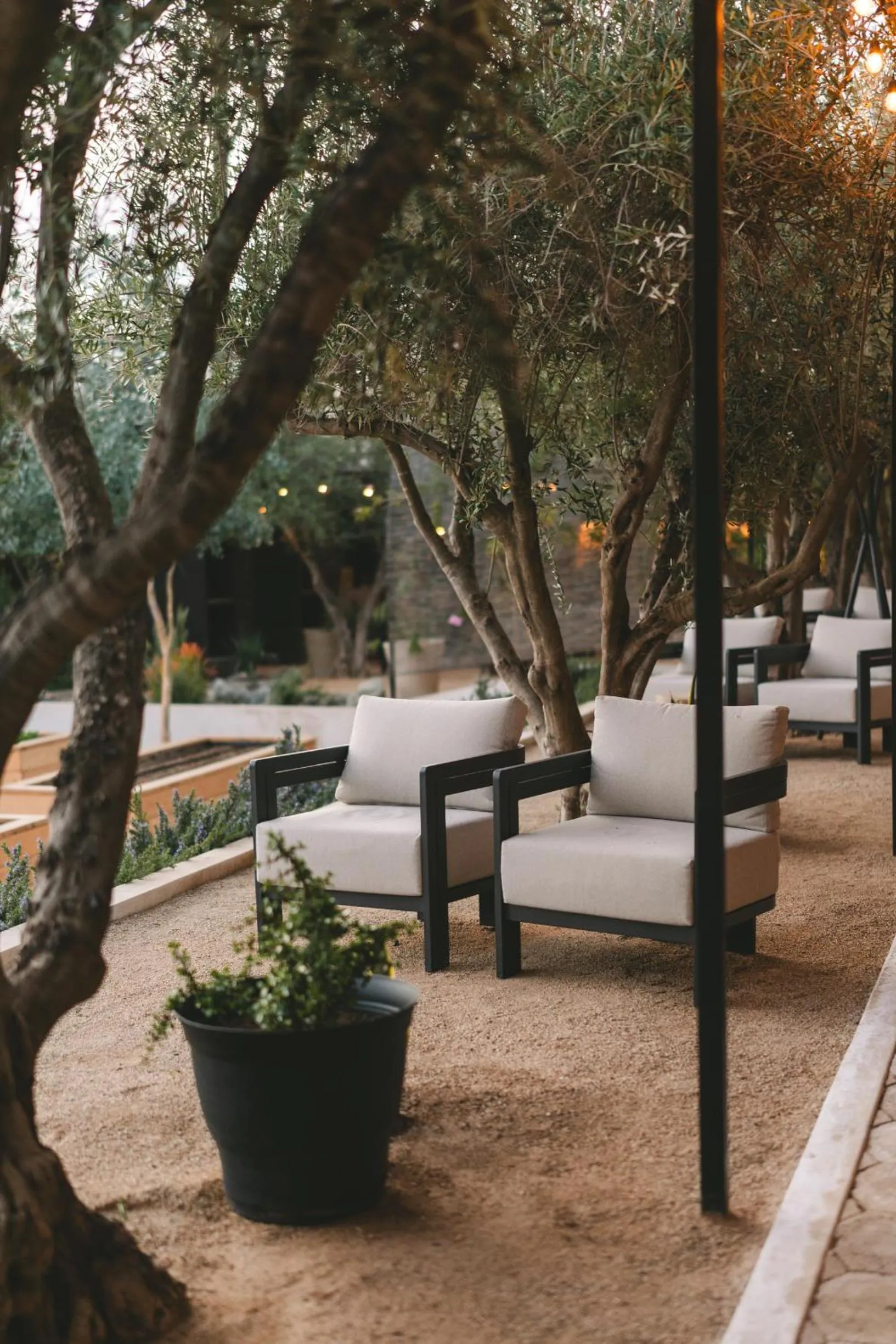 Property building in Casa Olivea