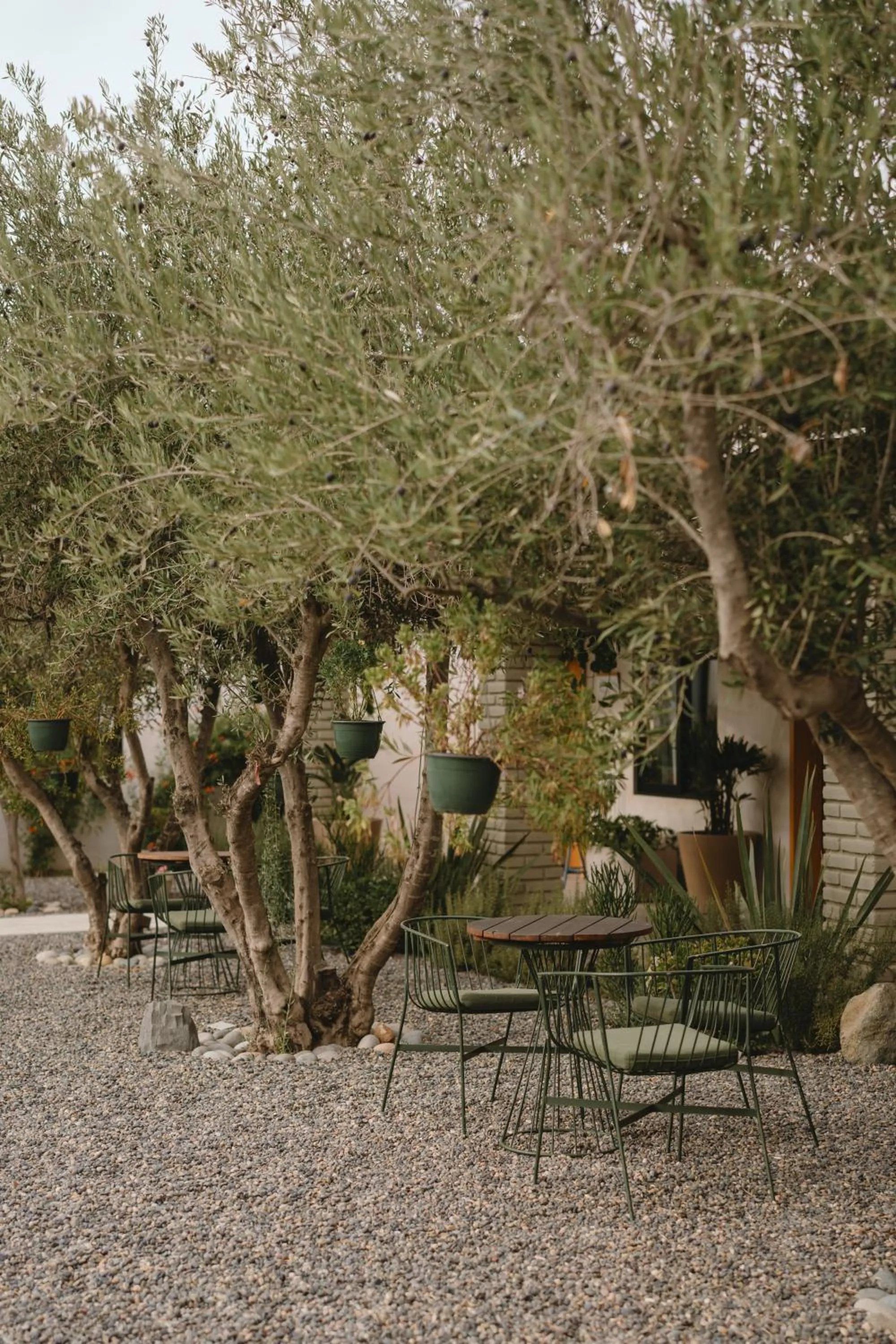 Spring in Casa Olivea