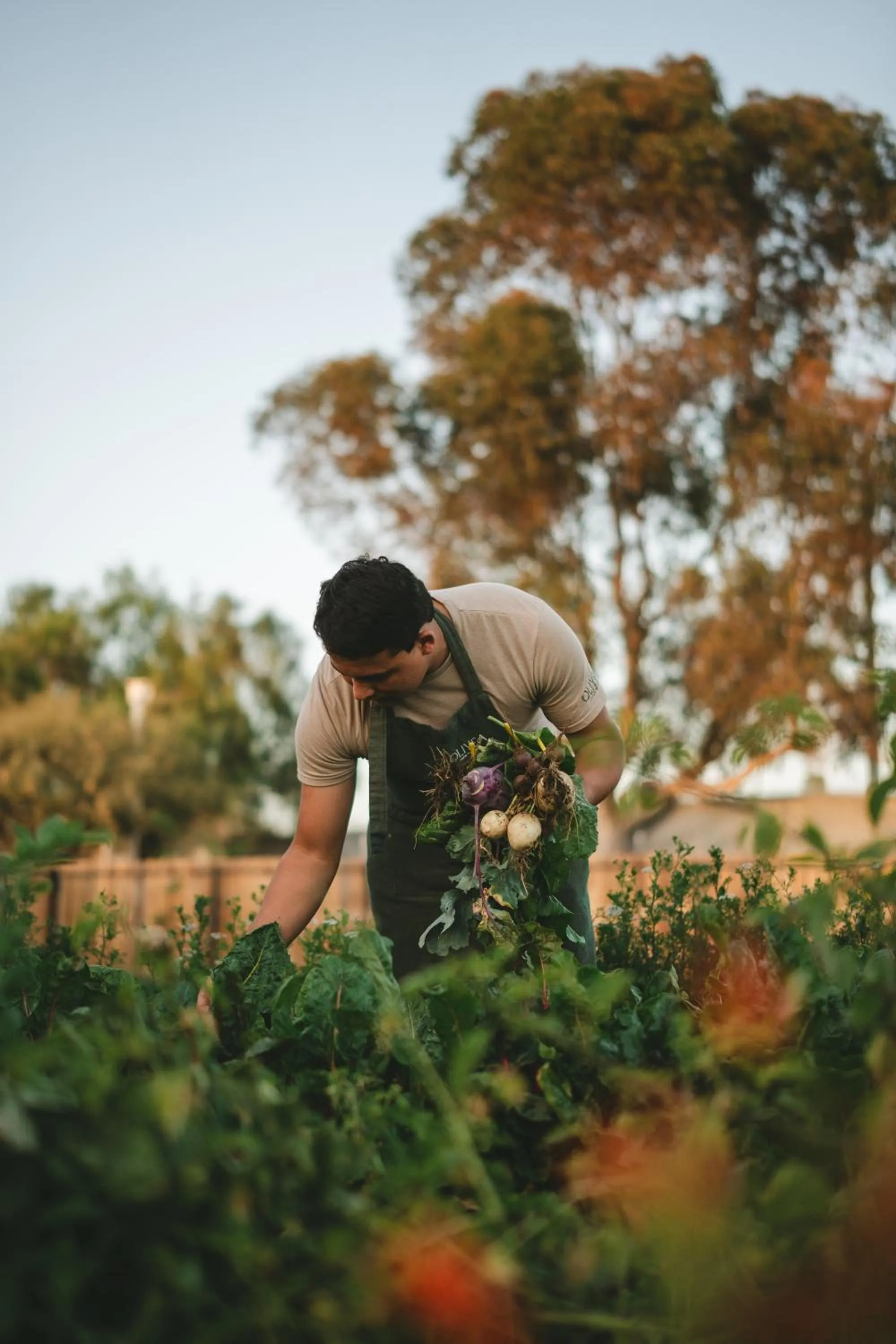Restaurant/places to eat in Casa Olivea