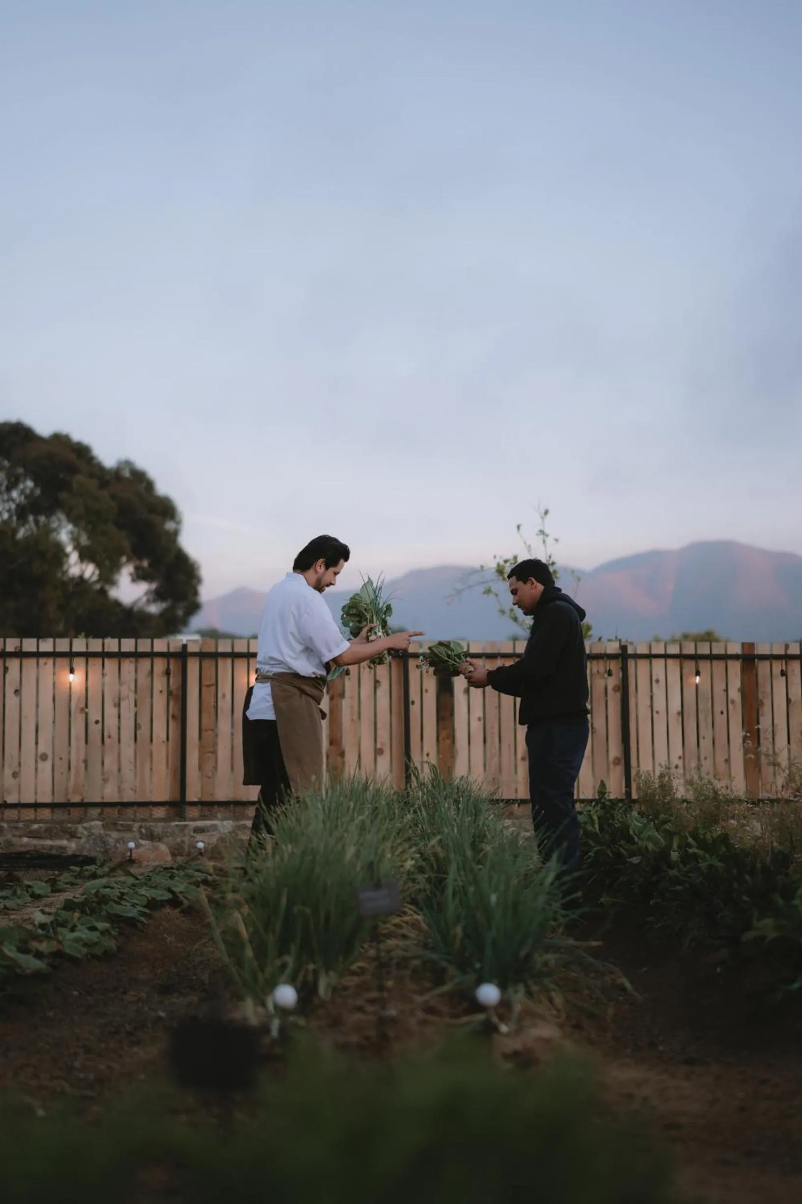 People in Casa Olivea