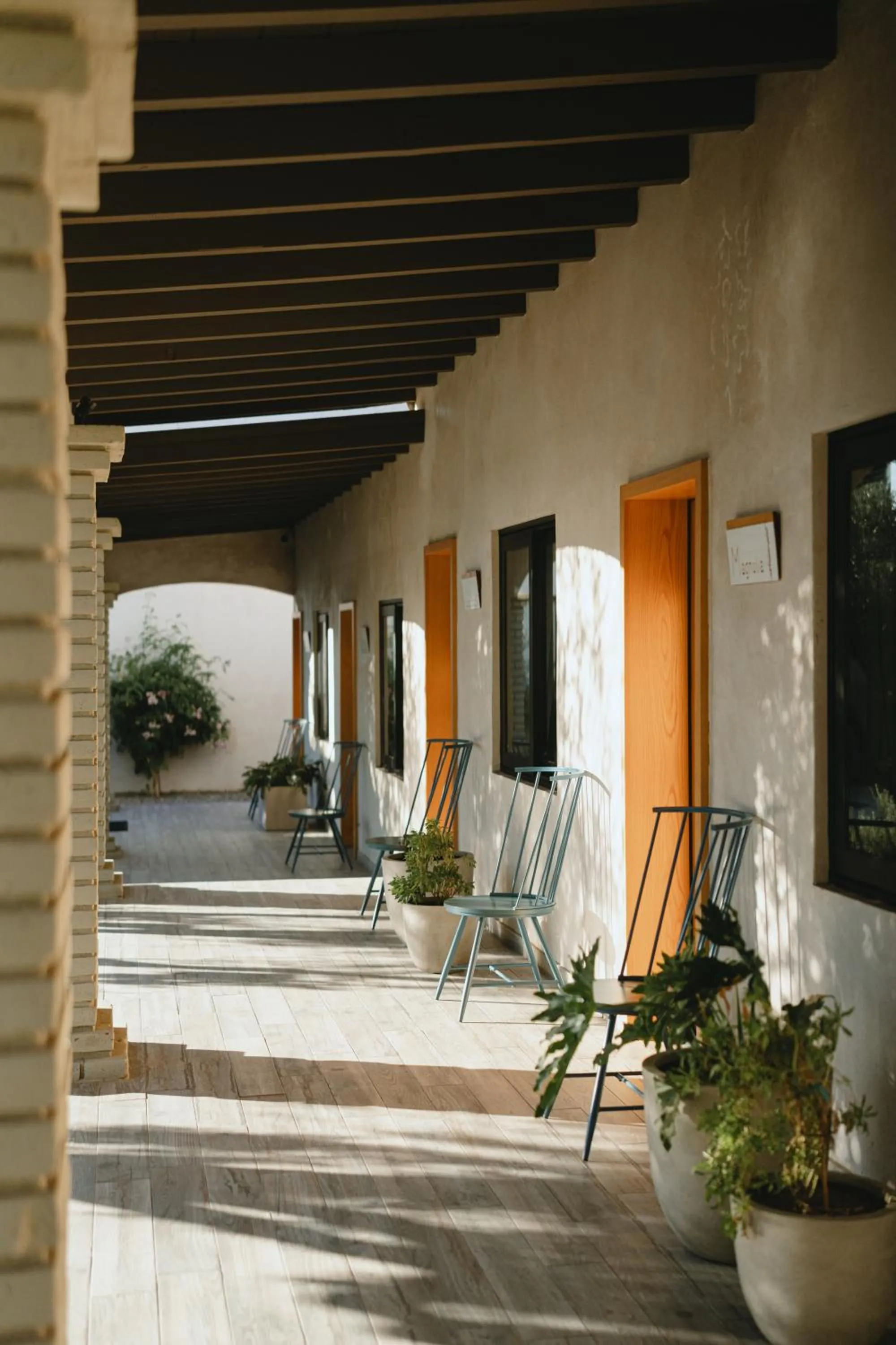 Patio in Casa Olivea