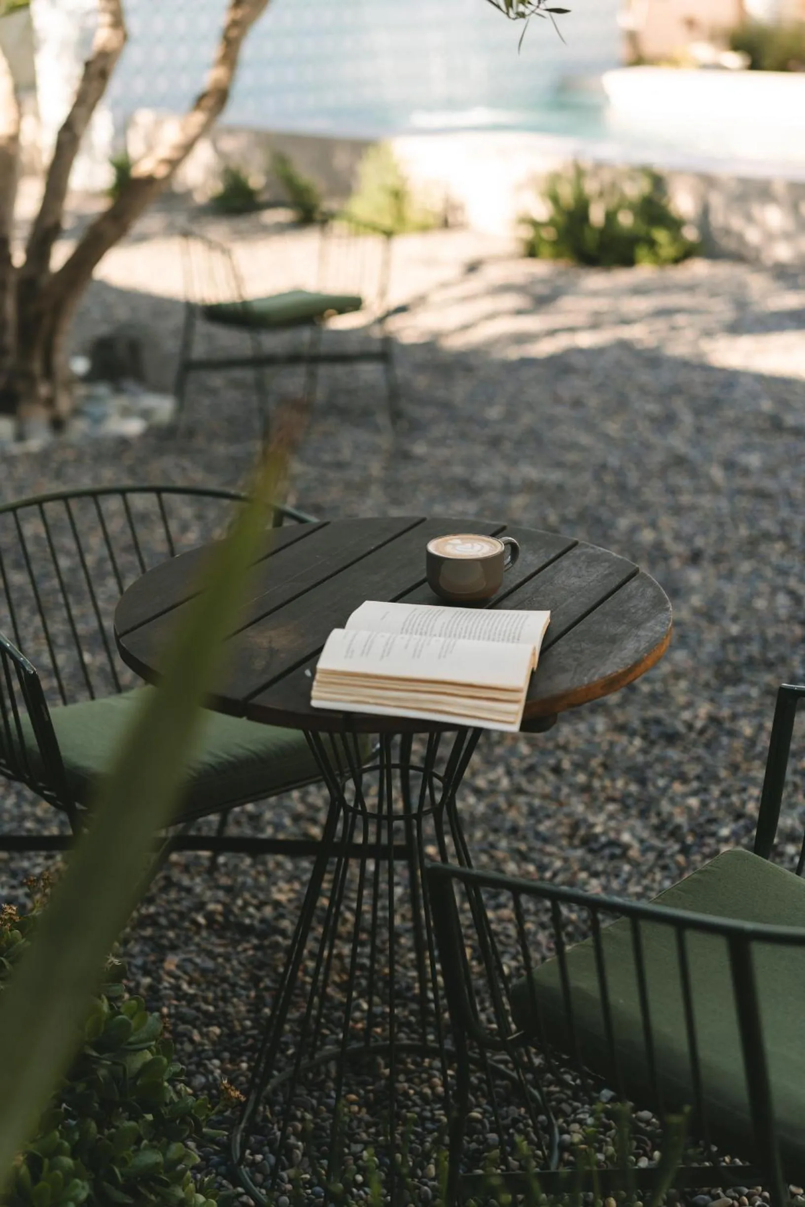 Property building in Casa Olivea