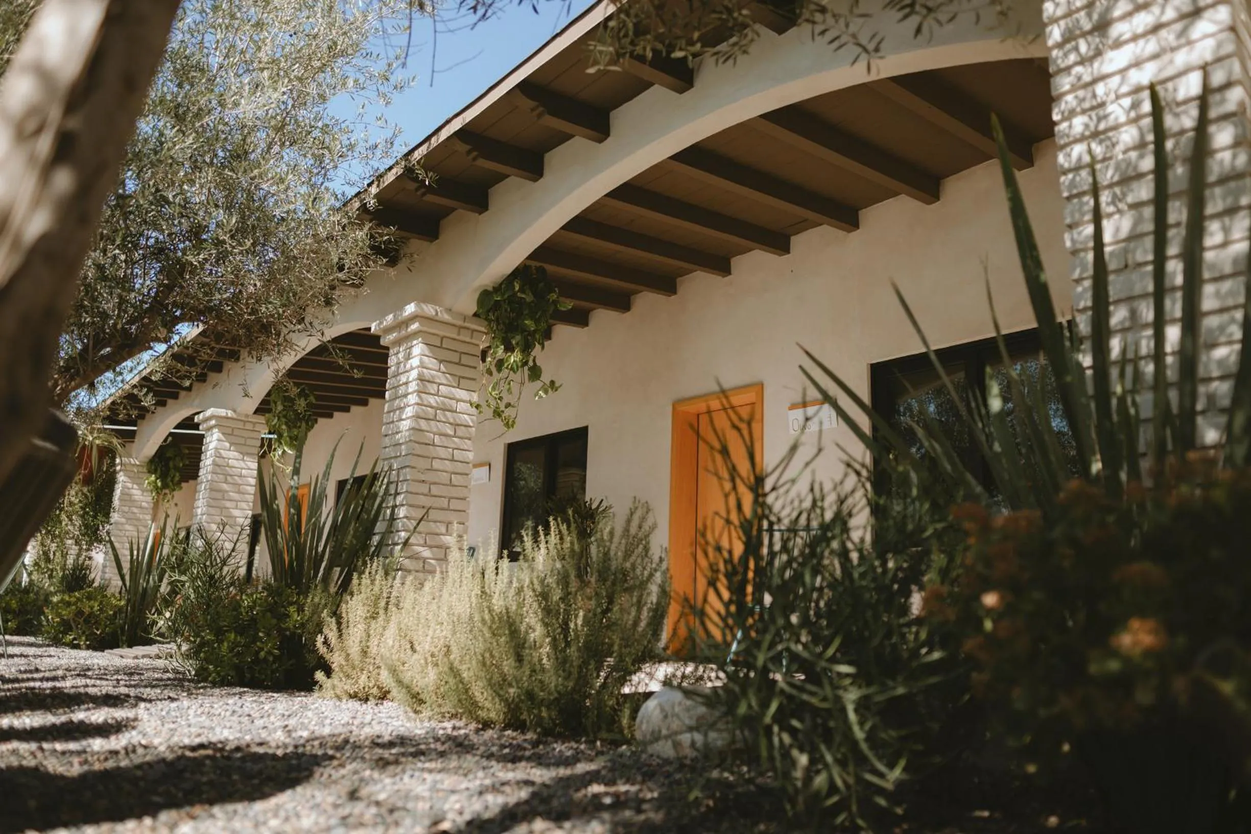 Property building in Casa Olivea