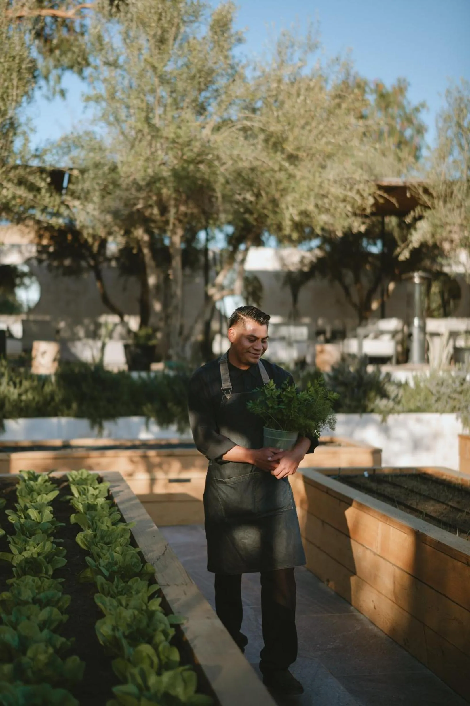 Garden in Casa Olivea