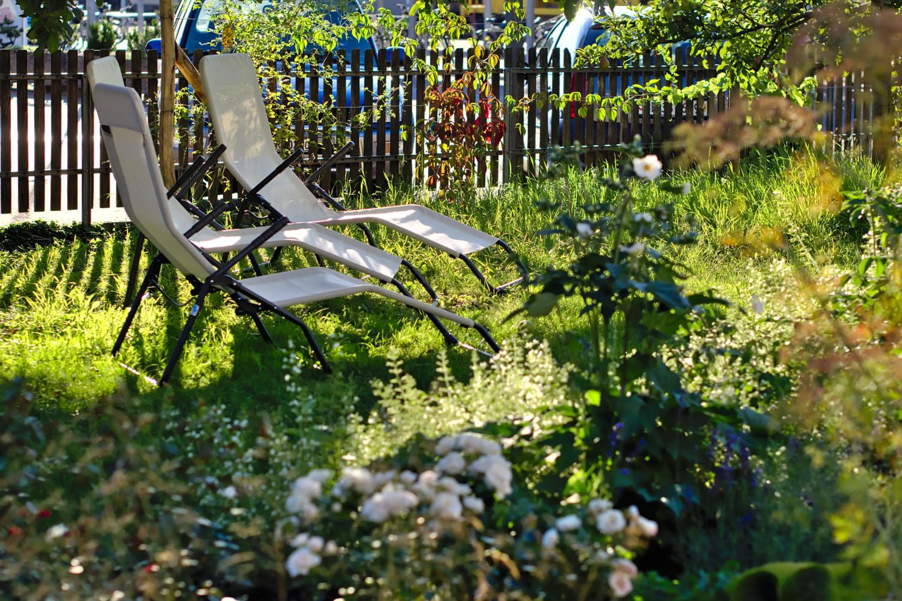 Garden in B&B Perron13
