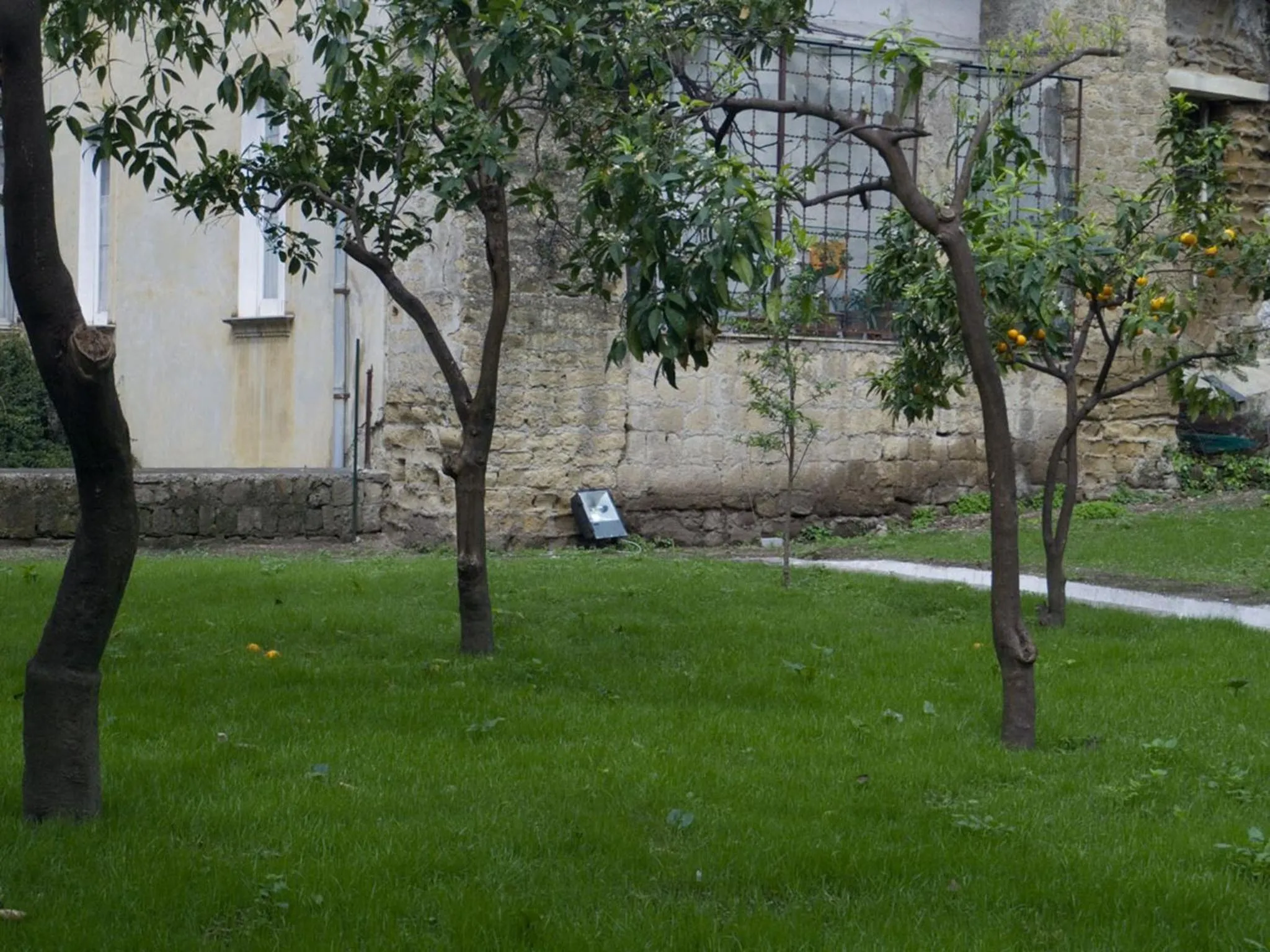 Garden in Il Paradiso di Dante