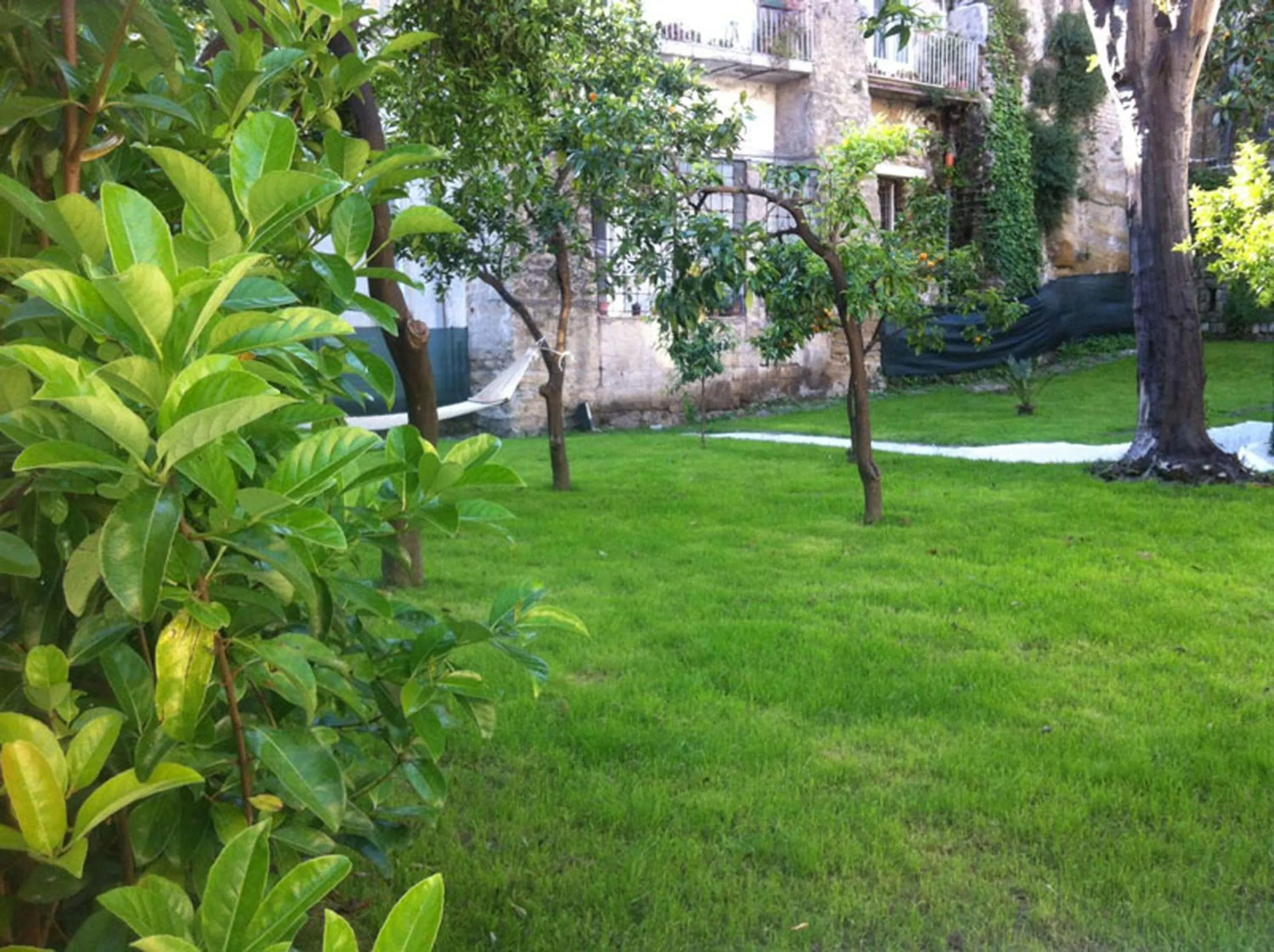 Garden in Il Paradiso di Dante