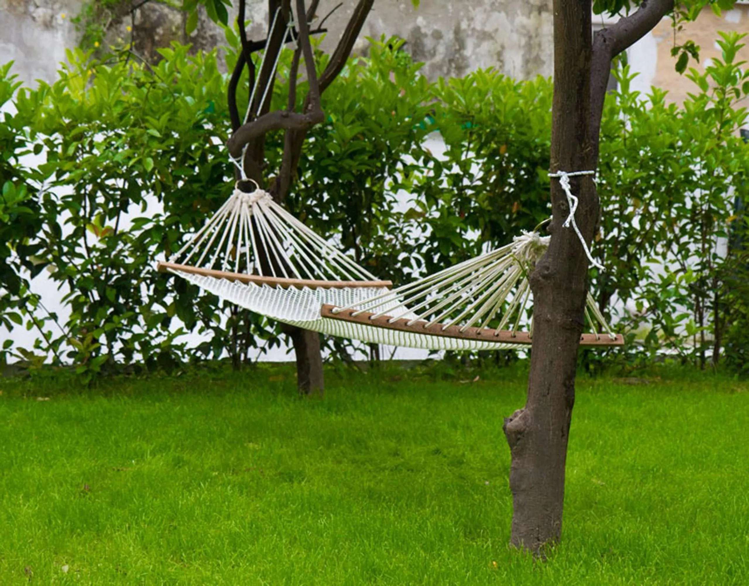 Garden in Il Paradiso di Dante