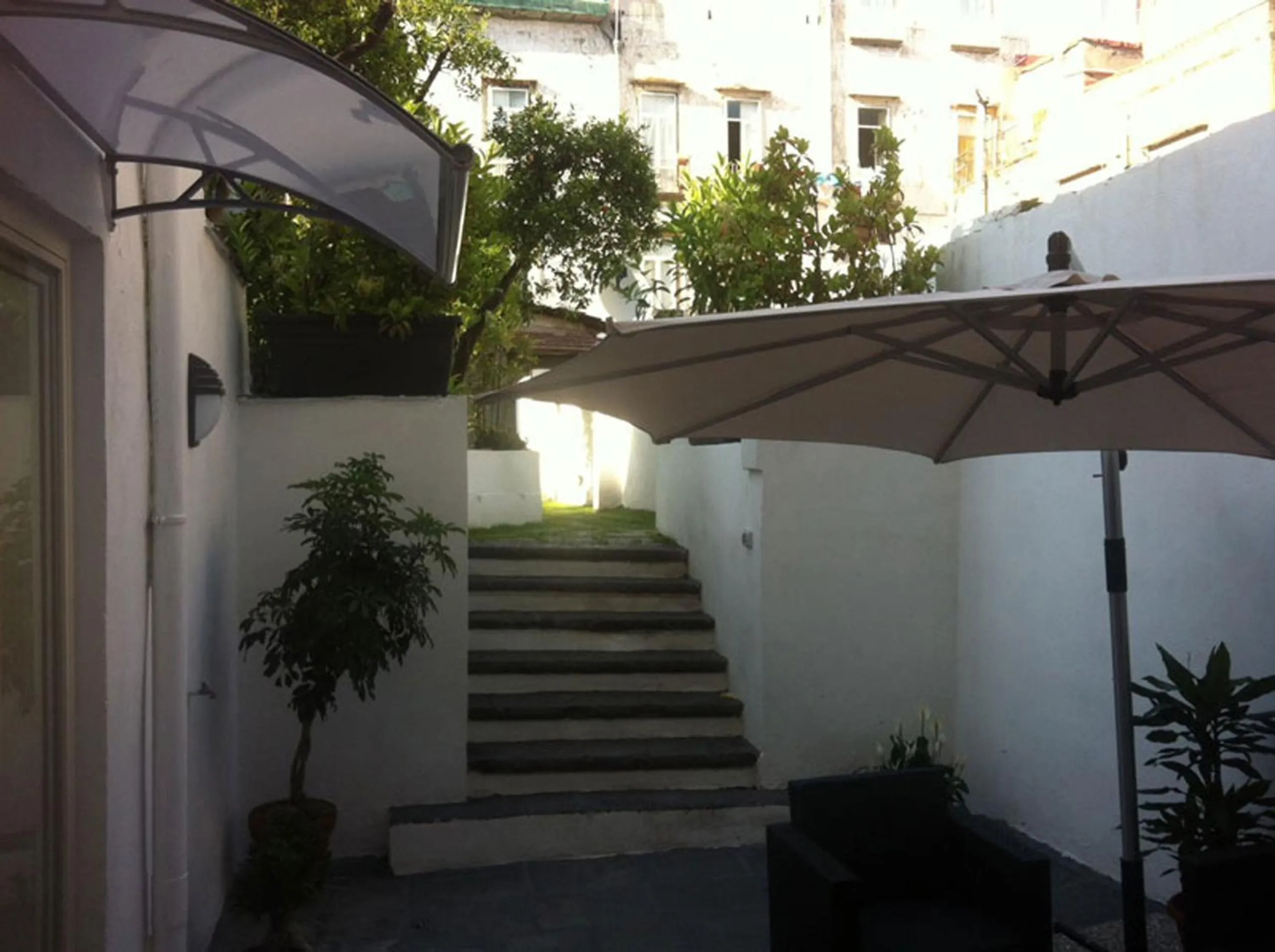 Garden in Il Paradiso di Dante