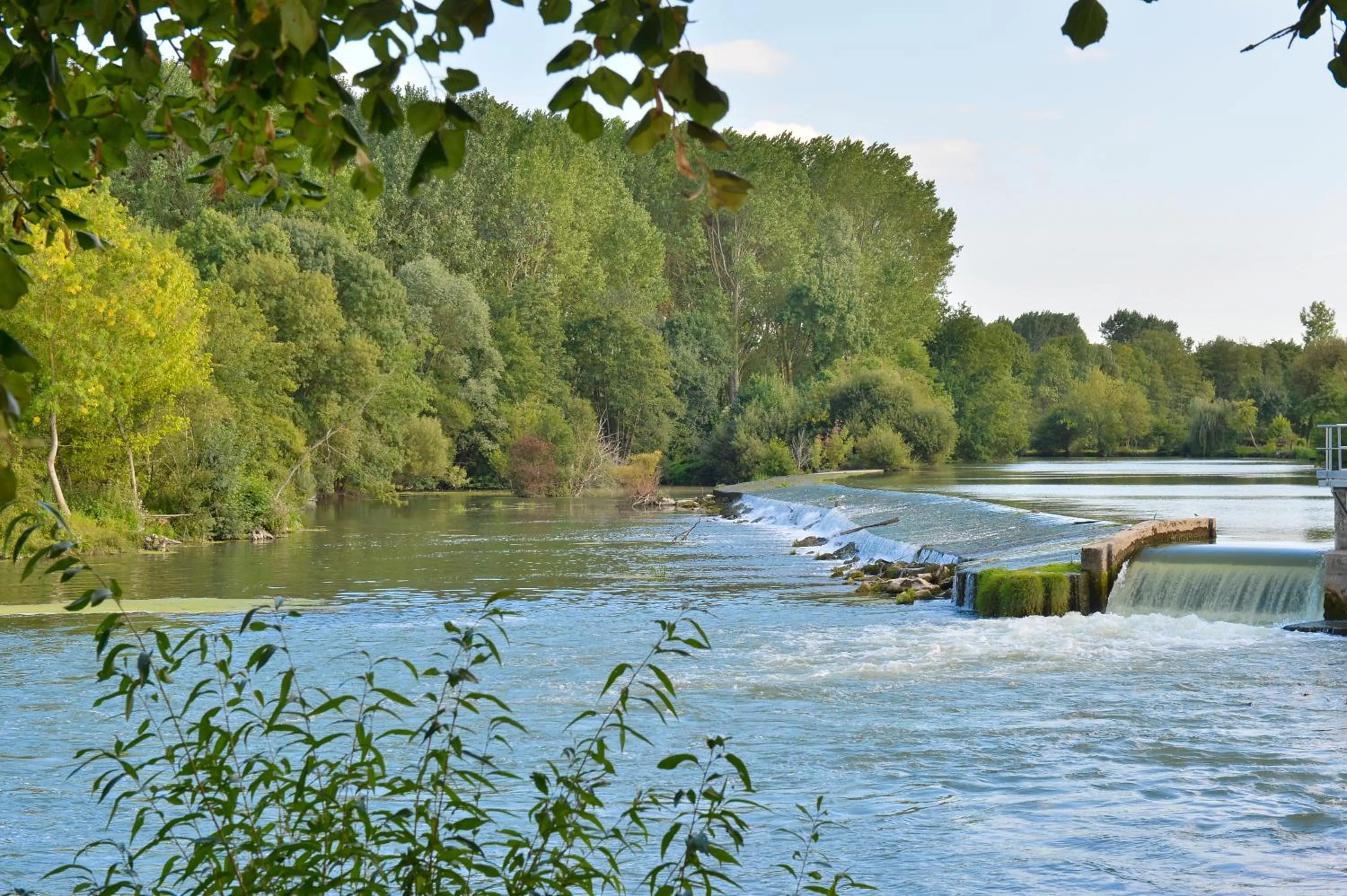 Garden in Domaine de la Courbe Hôtel & Spa