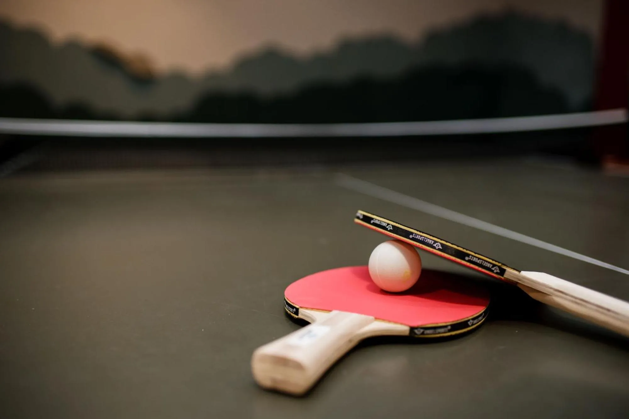 Table tennis in Hotel 't Paviljoen