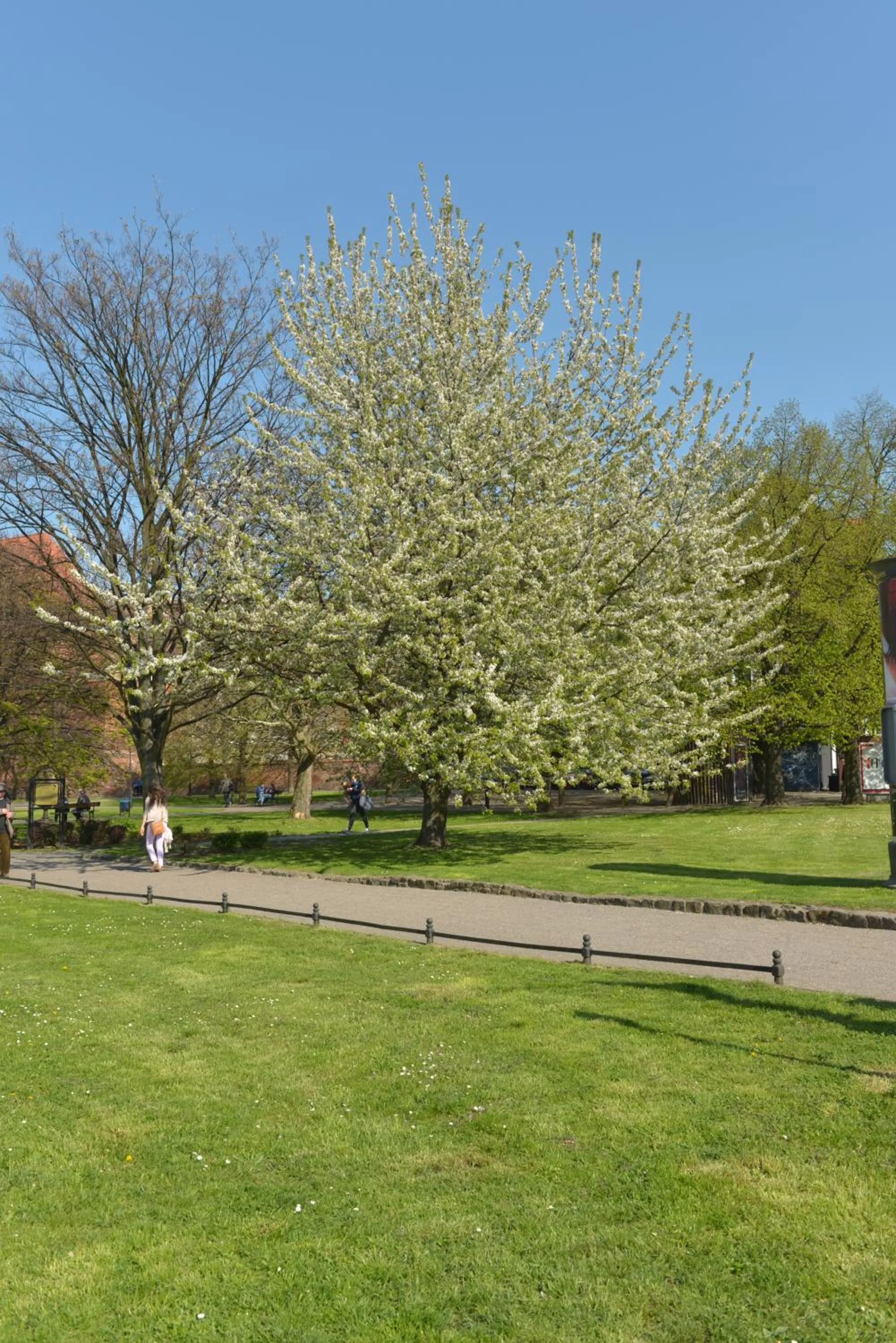 Area and facilities in Five Point Hostel & Apartments