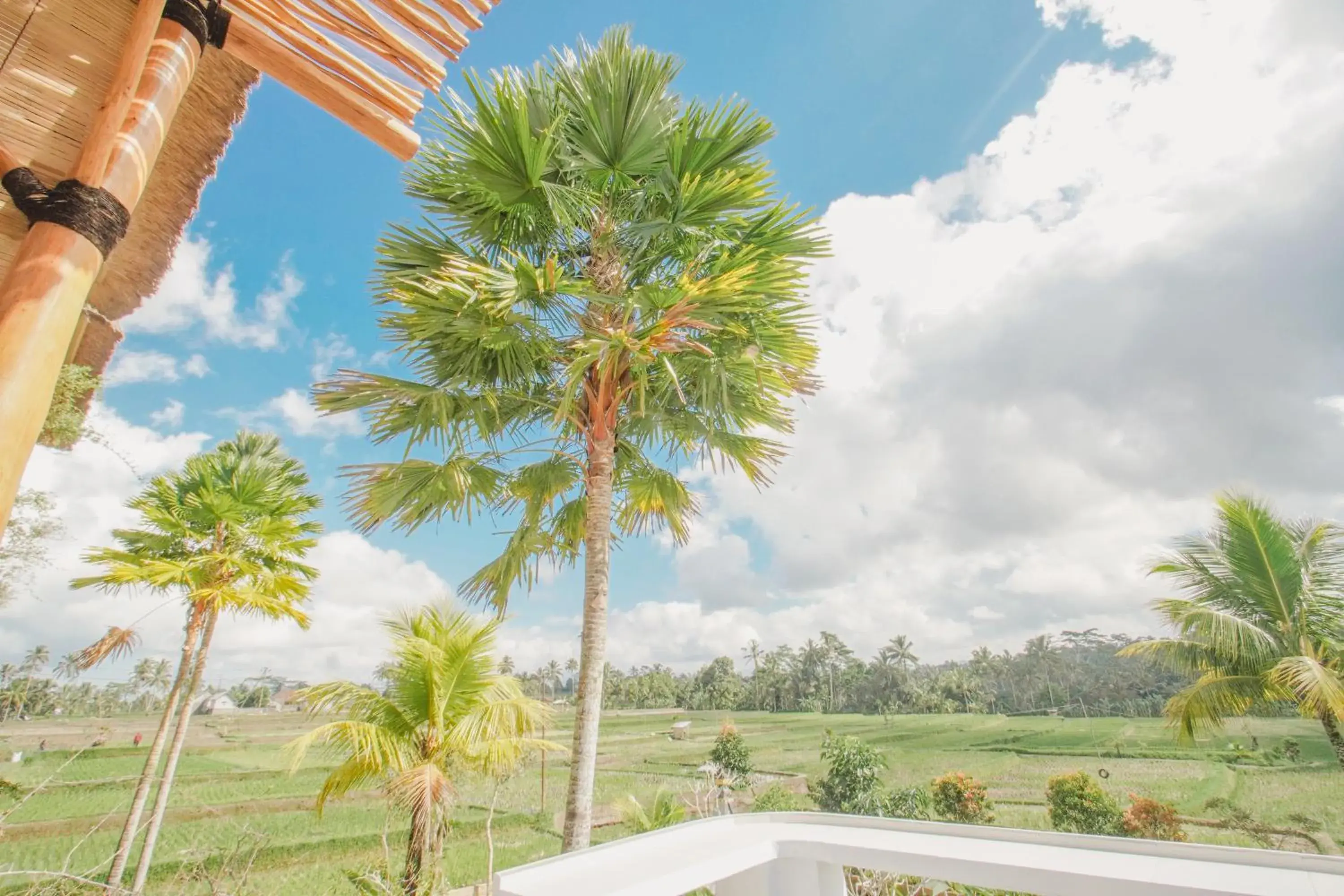 Restaurant/places to eat in The Nenggala Suite Restaurant/places to eat in The Nenggala Suite