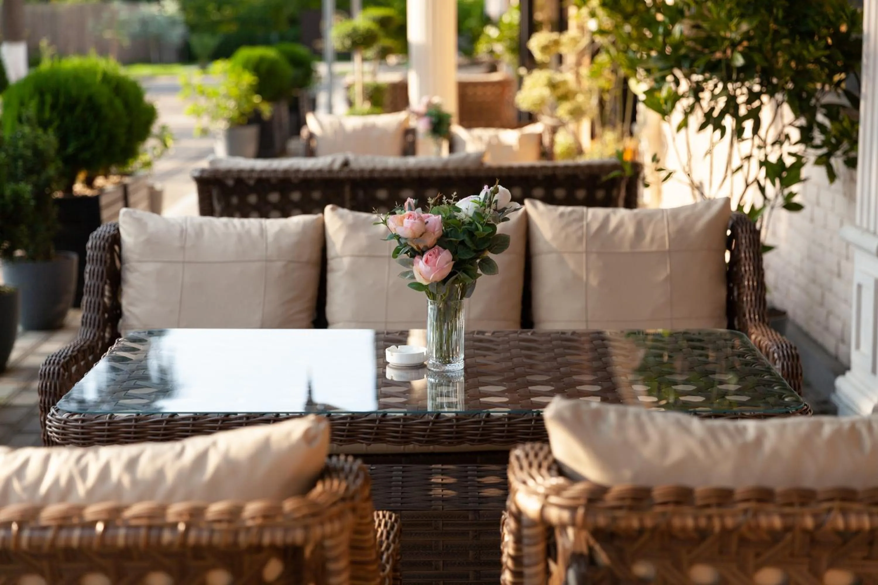 Garden in Gelati Residence