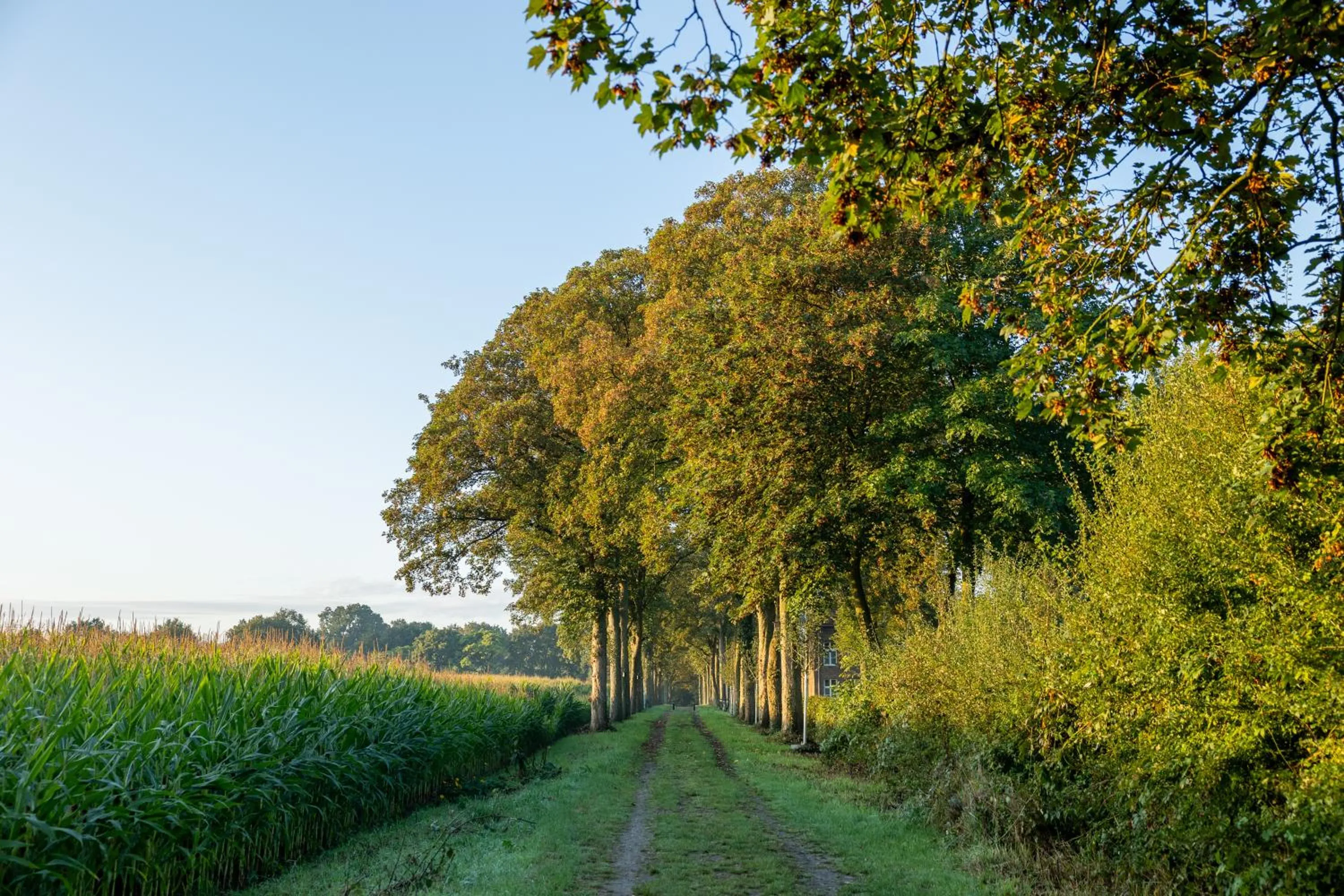 Natural landscape in Bilderberg Château Holtmühle