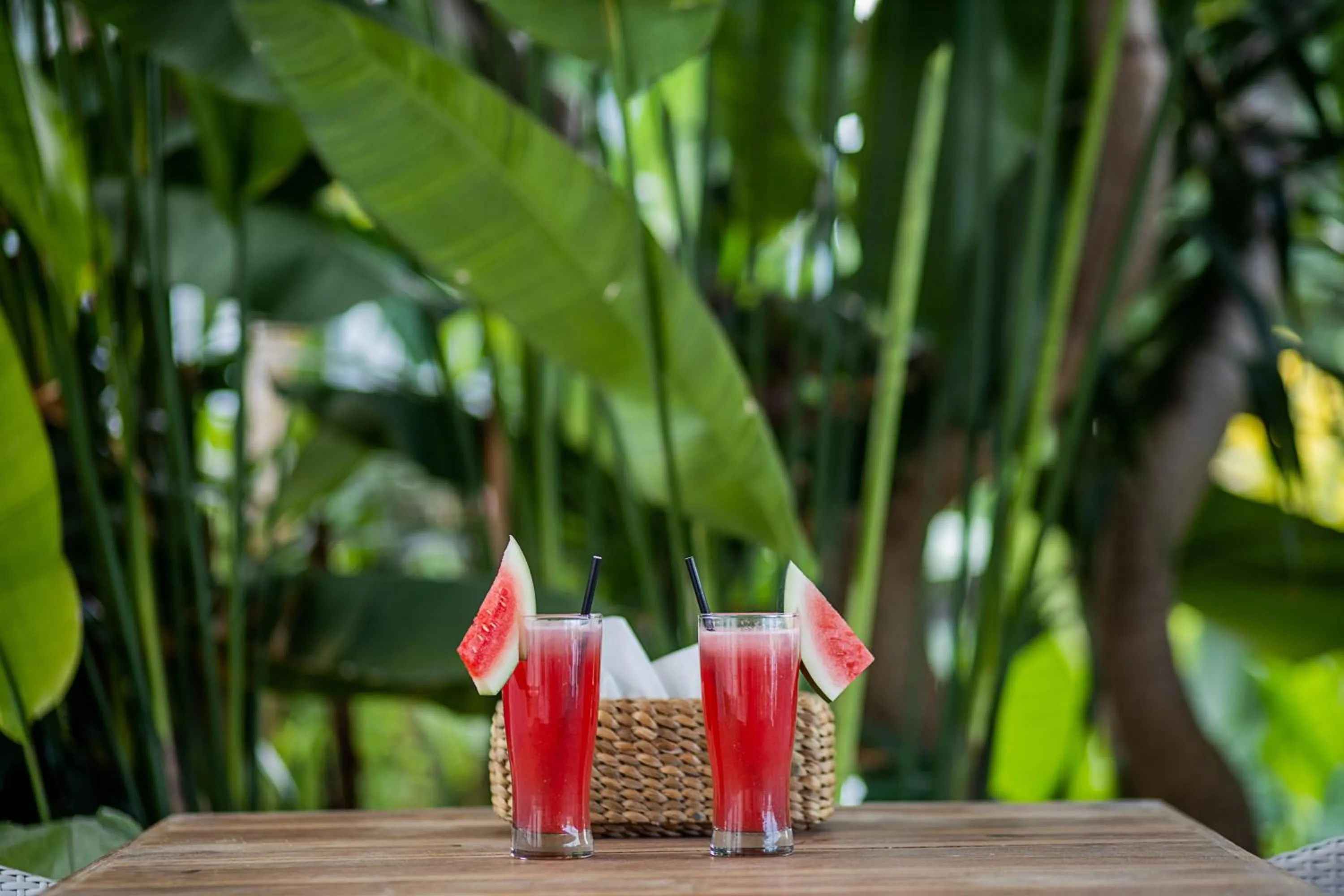 Drinks in Stardust Villas