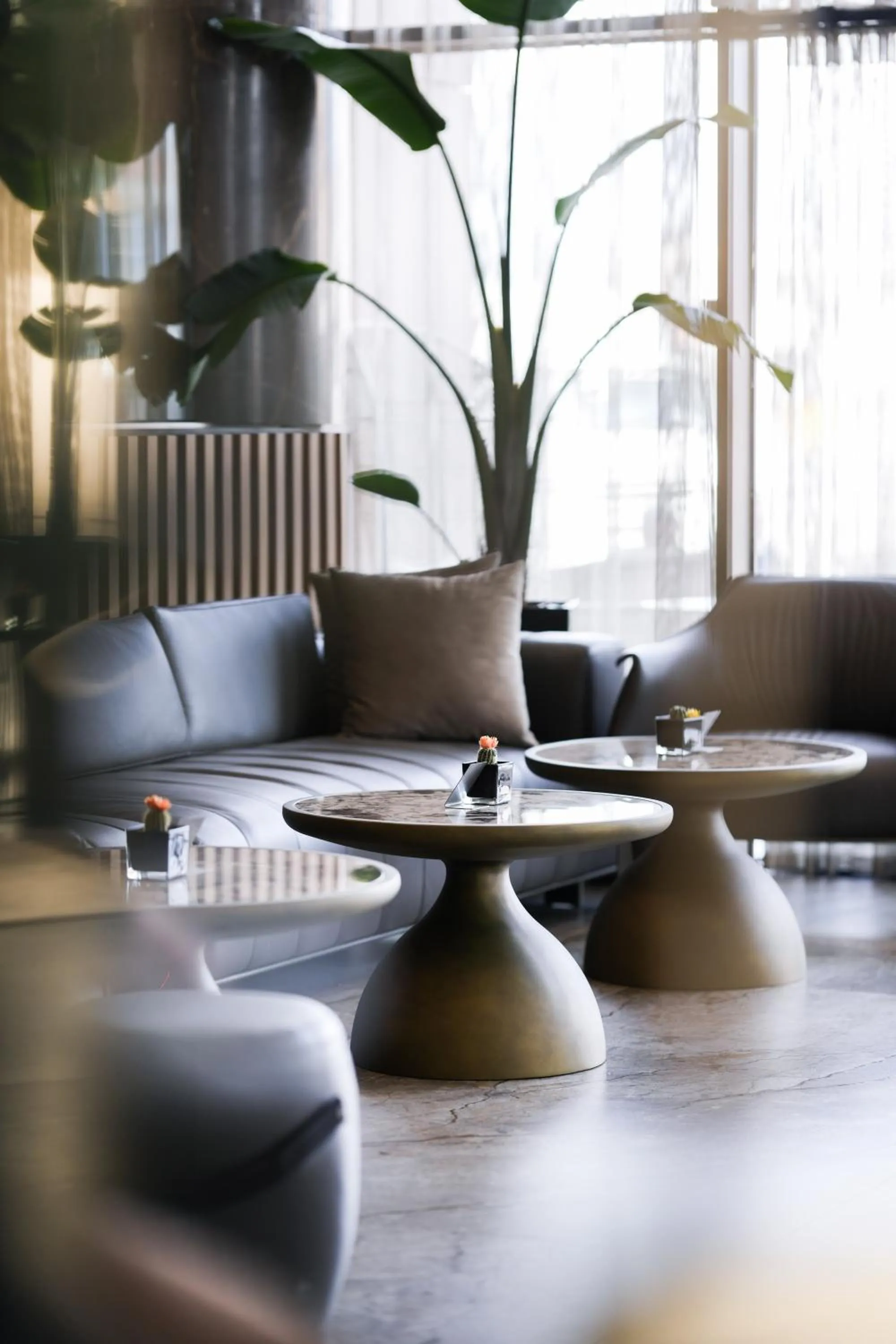 Lounge or bar in Marinaj Hotel & SPA