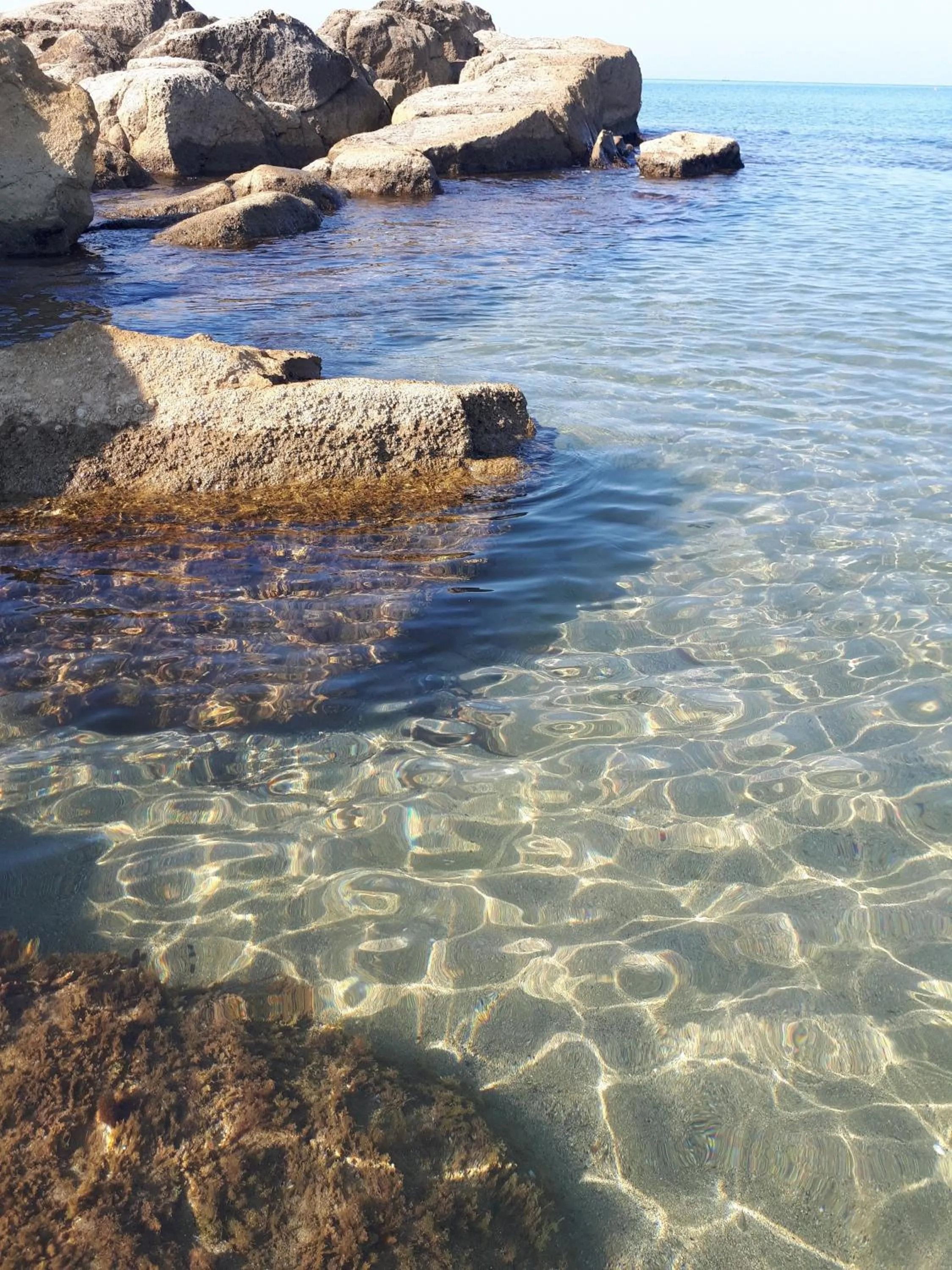 Other in Bed and Breakfast Angolo Fiorito