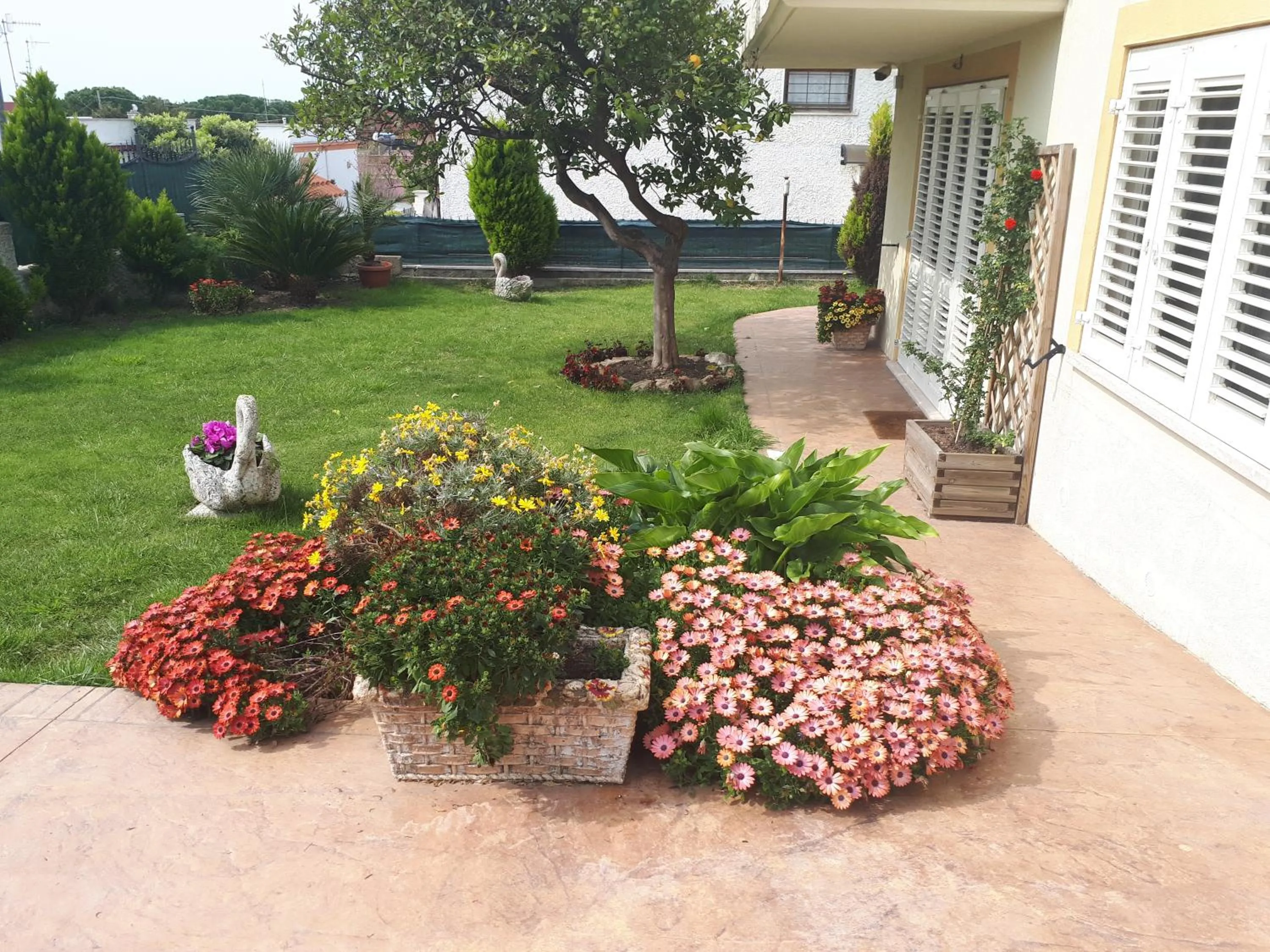 Garden view in Bed and Breakfast Angolo Fiorito