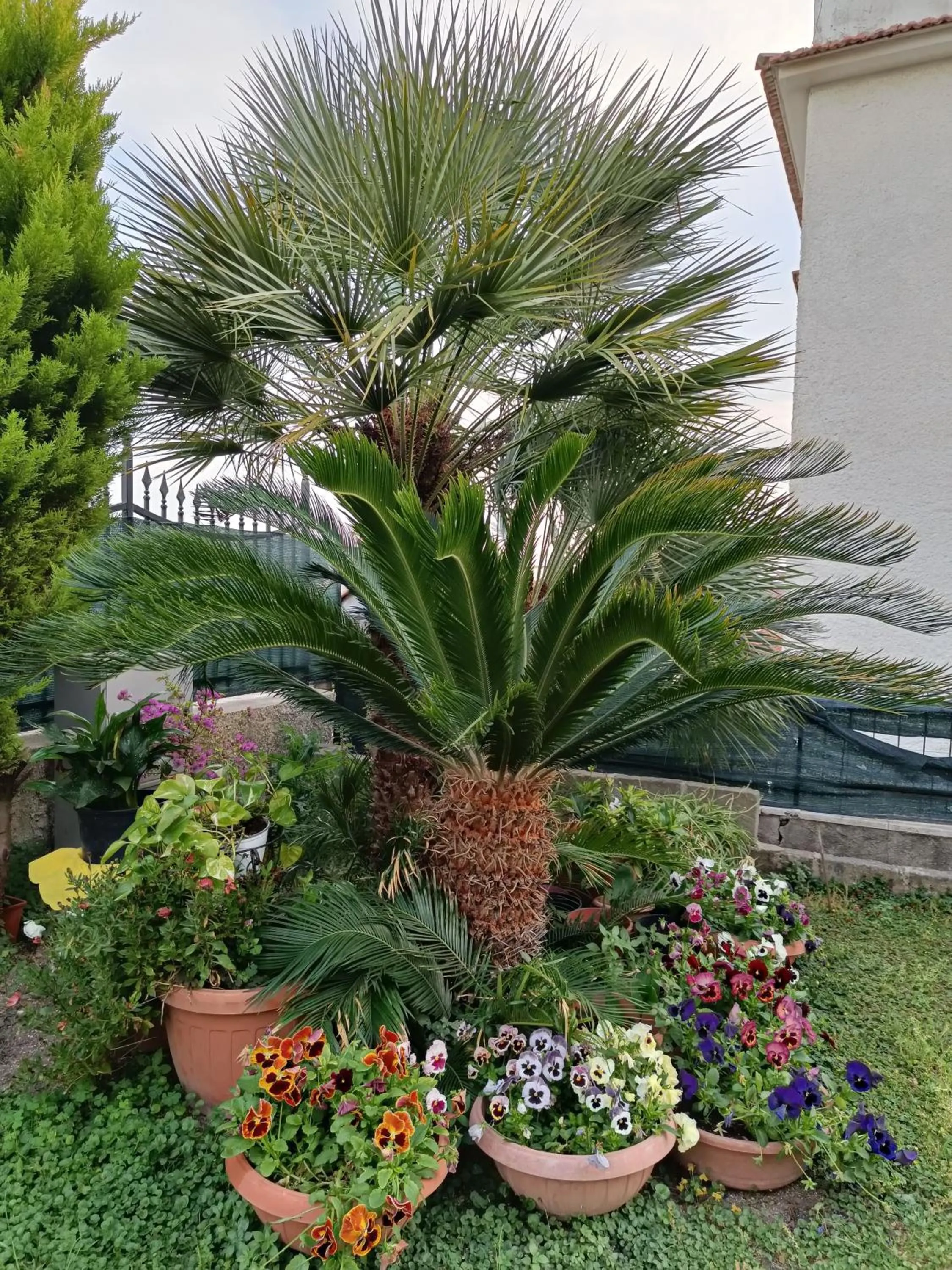 Garden in Bed and Breakfast Angolo Fiorito