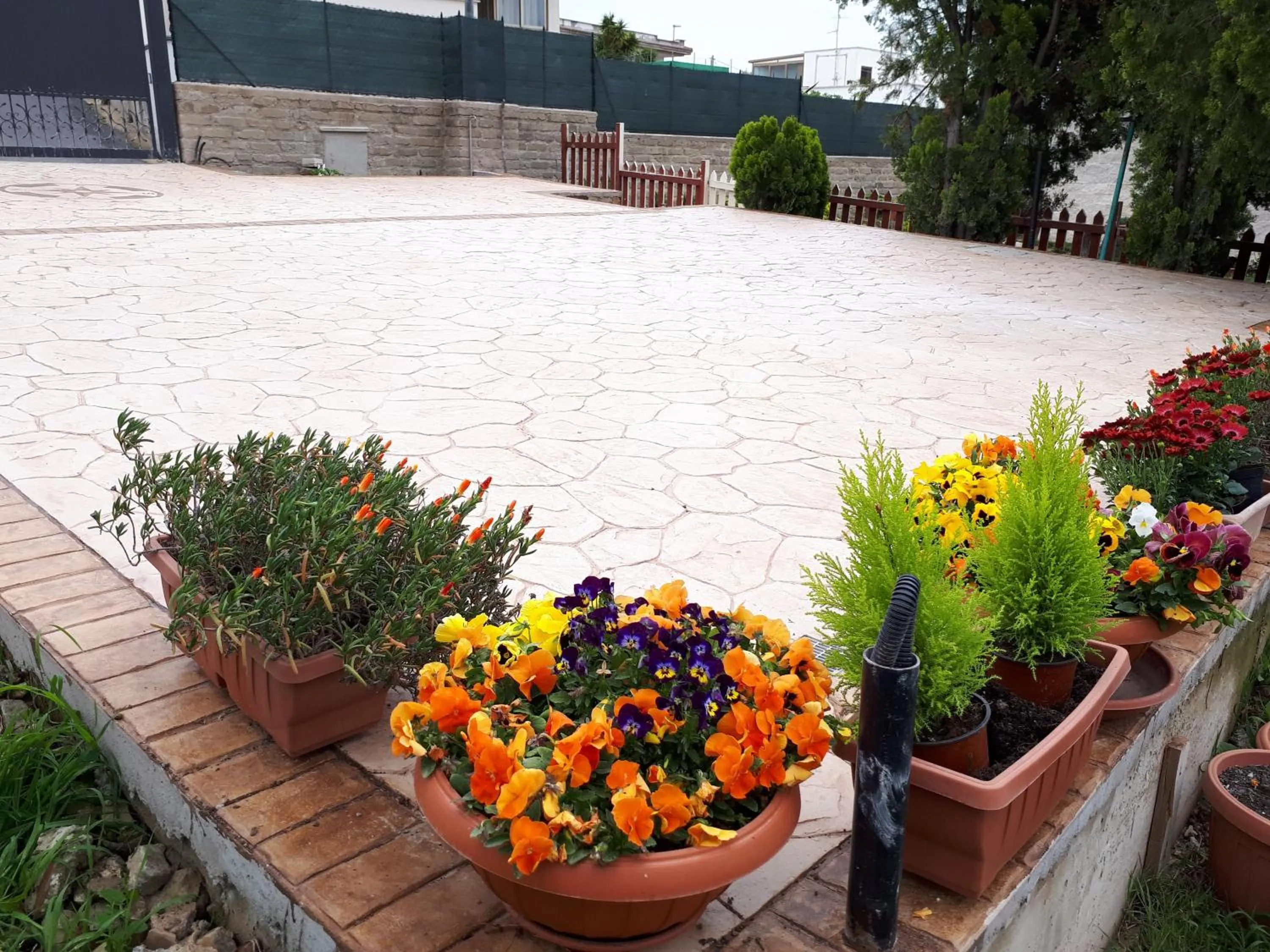 Other in Bed and Breakfast Angolo Fiorito