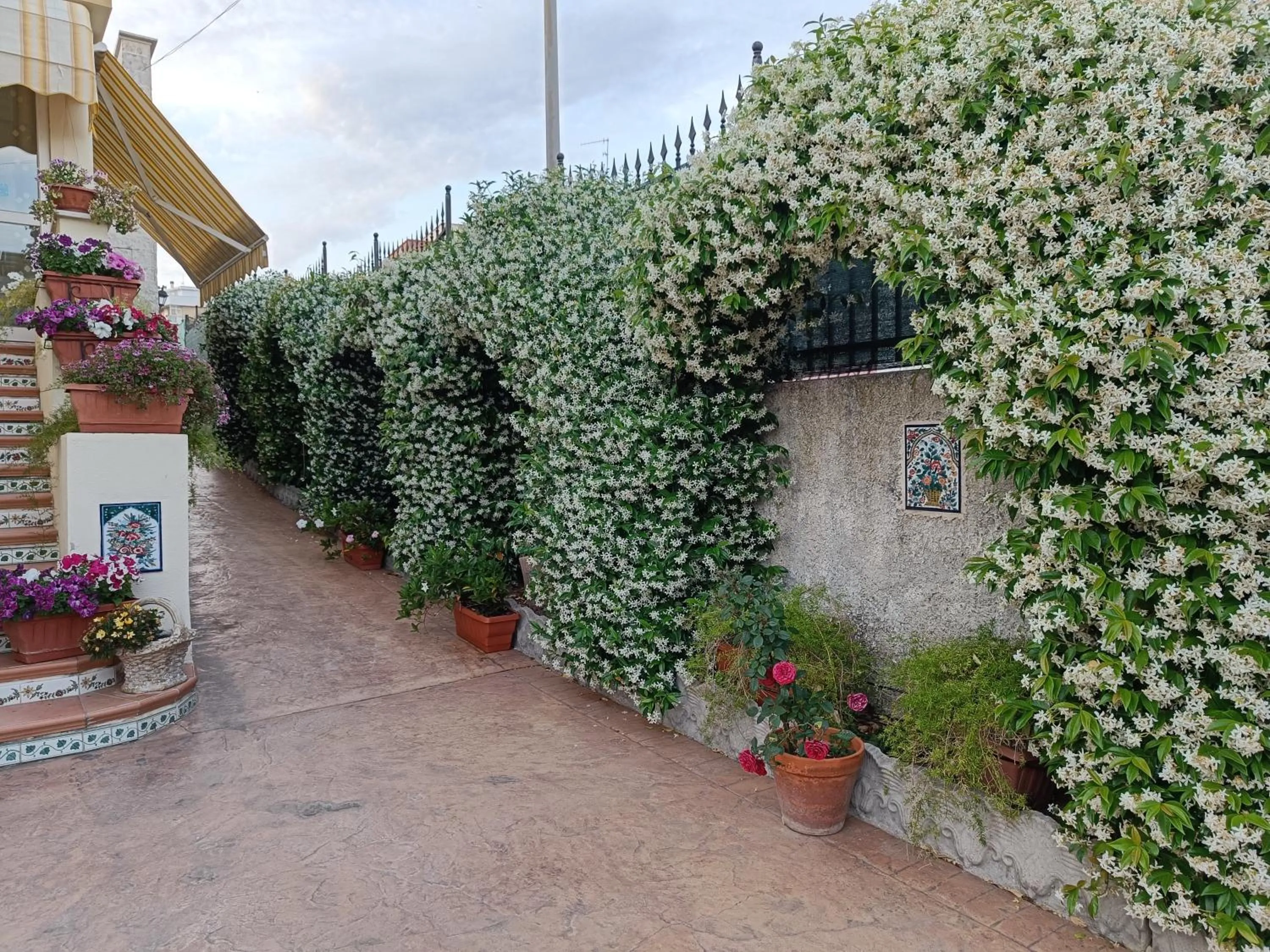 Garden in Bed and Breakfast Angolo Fiorito