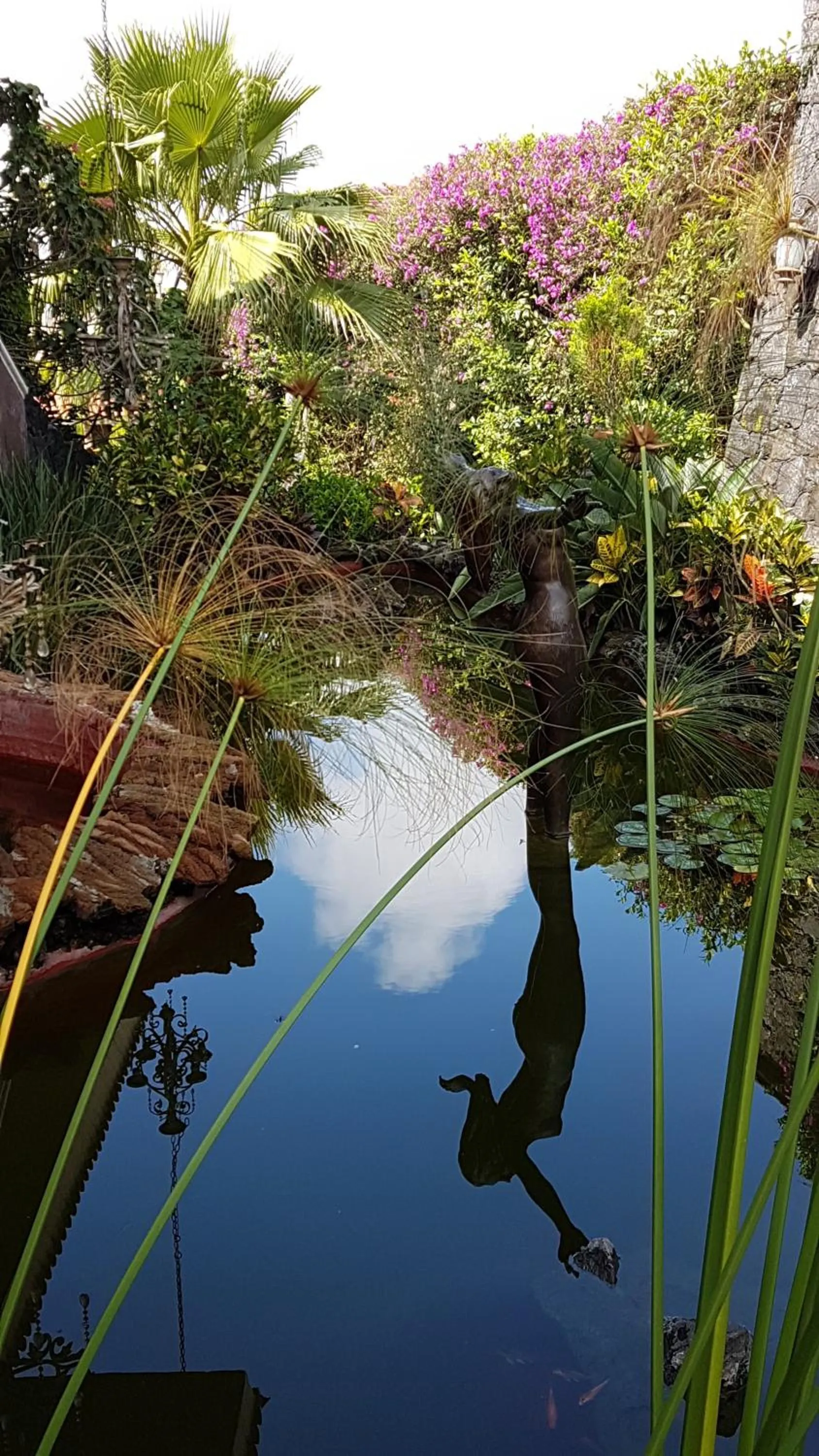 Hotel Boutique Casa Isabella