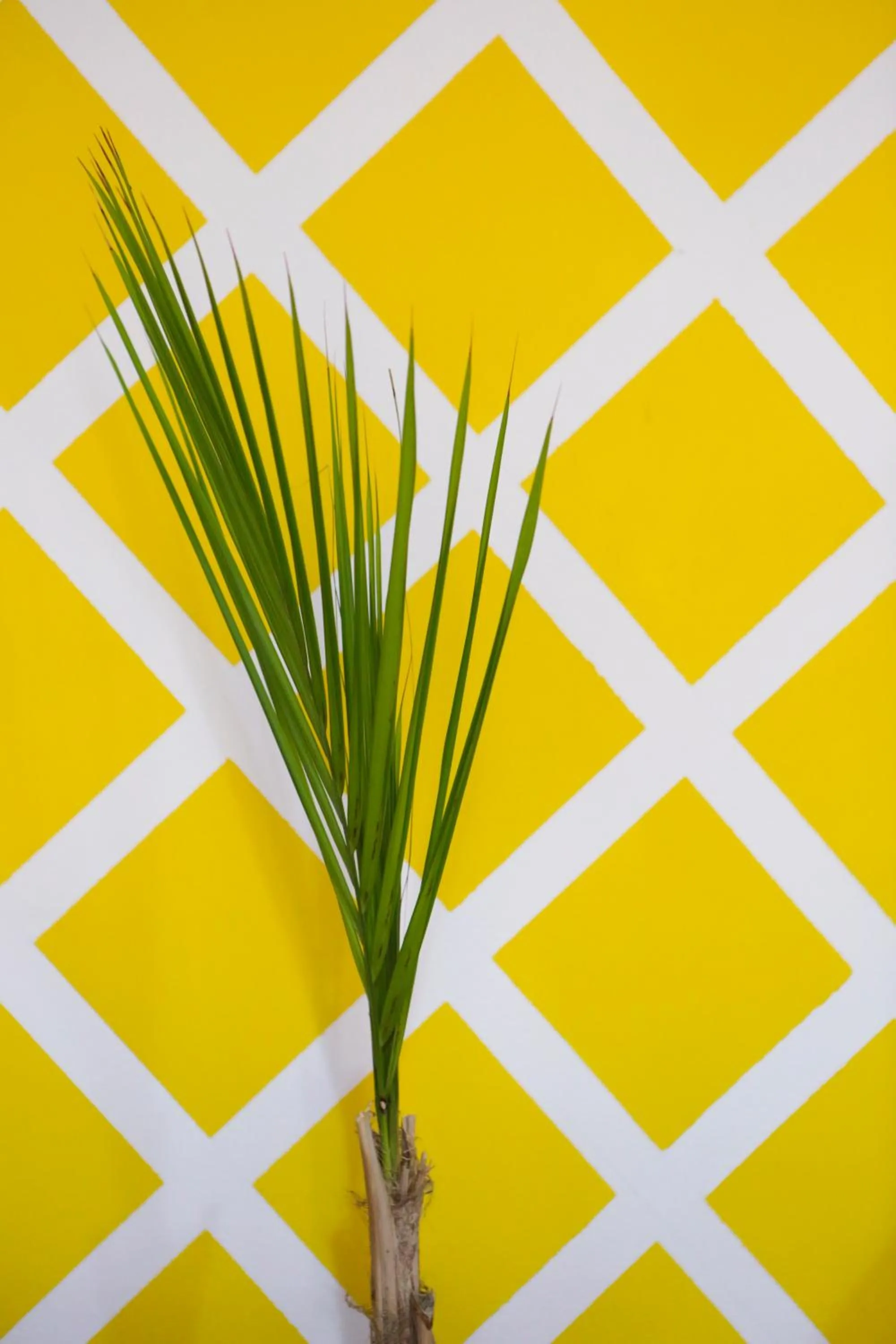 Living room in Ostello Meet Gardalake Hostel