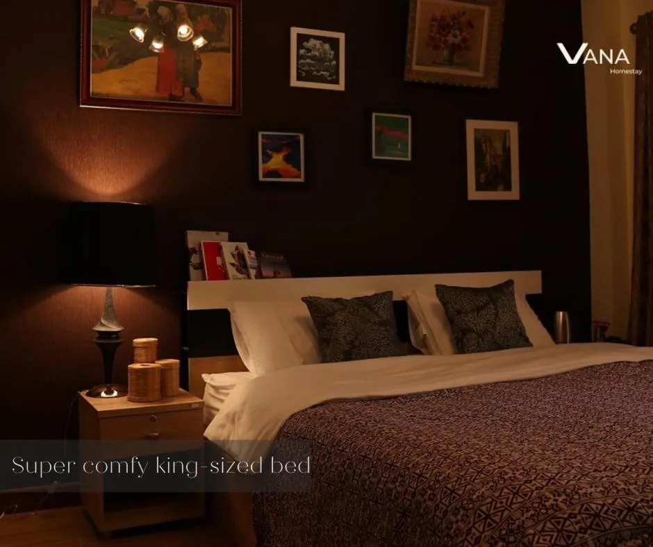 Deluxe King Room in VANA Homestay