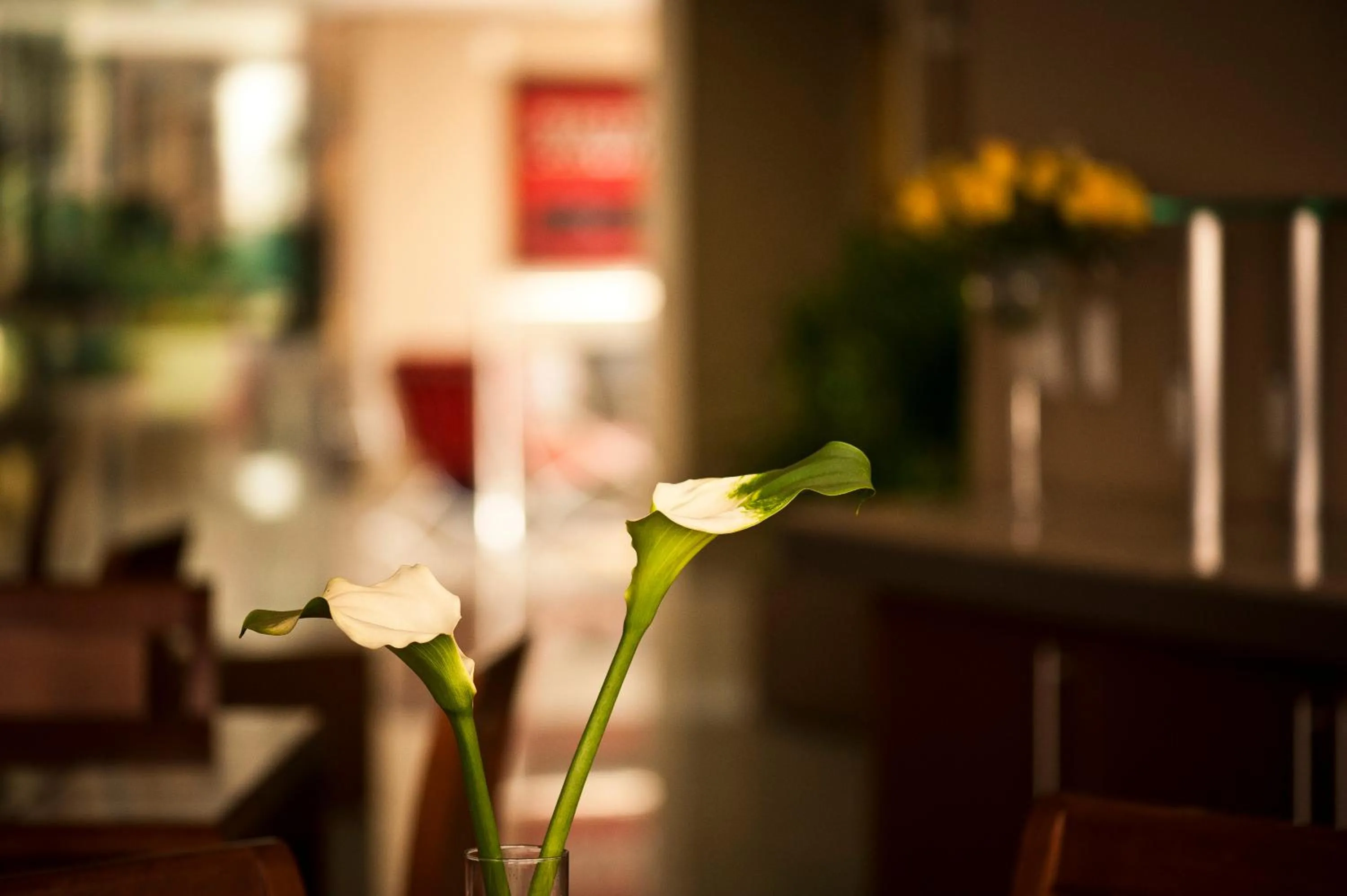 Lobby or reception in Alfa Hotel