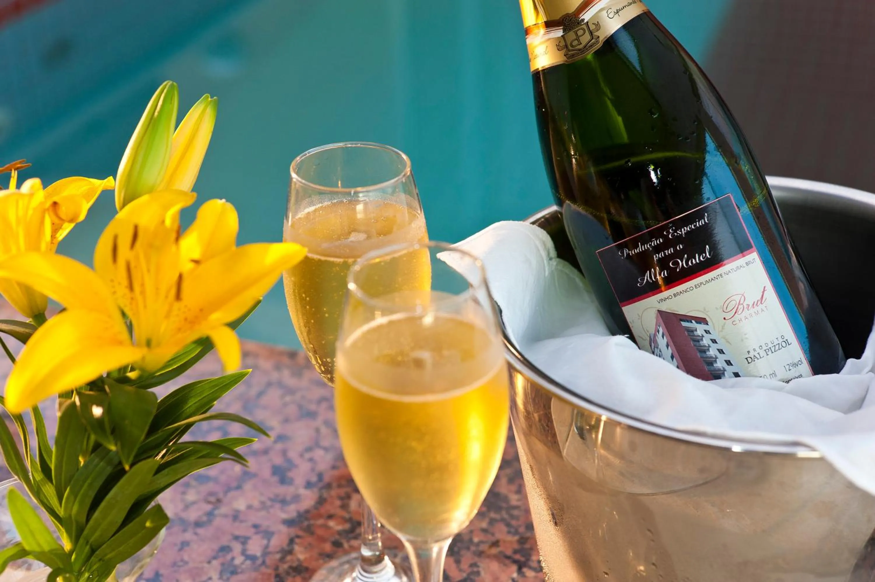 Alcoholic drinks in Alfa Hotel