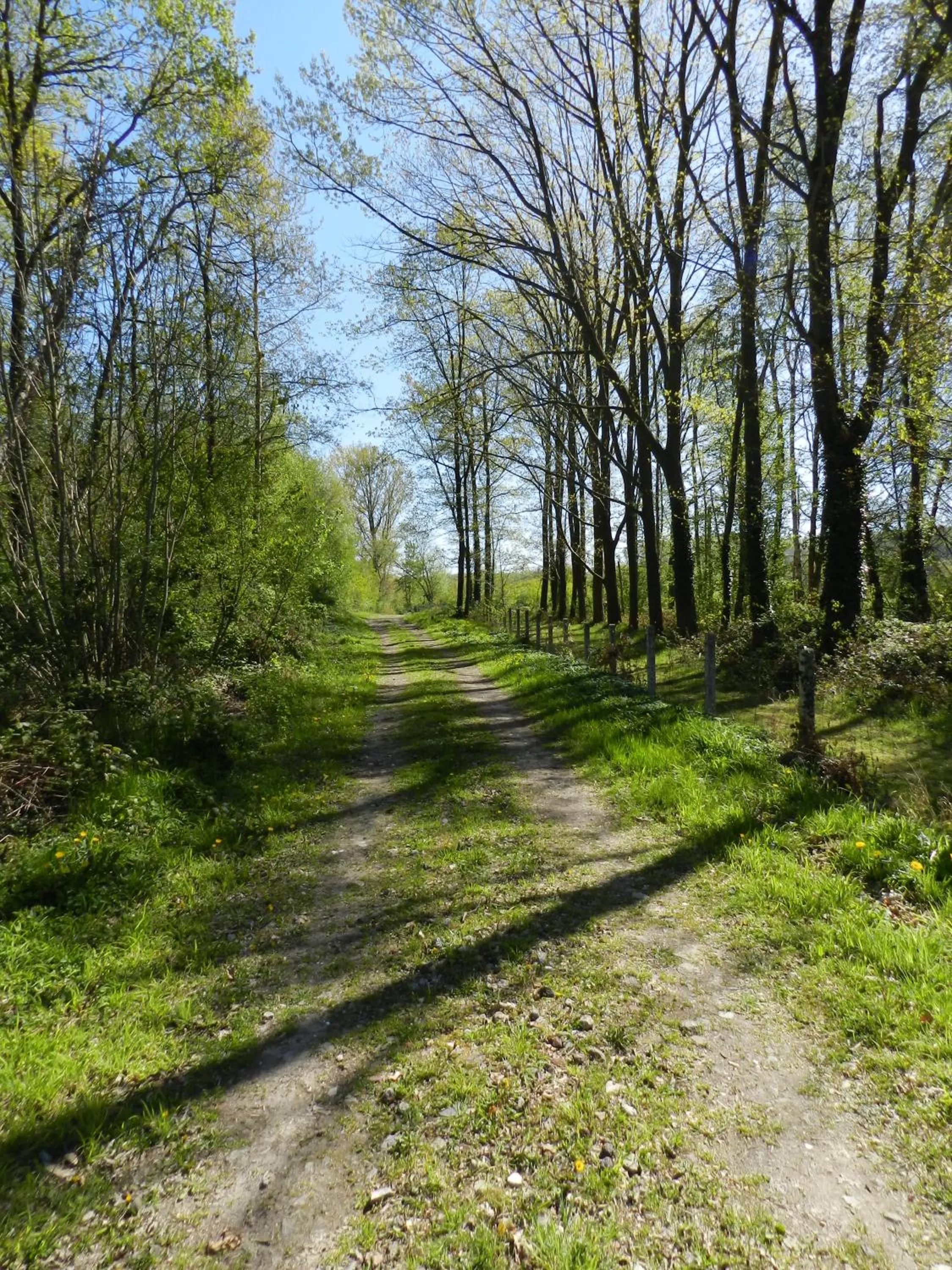 Hiking in B&B Le Bois de Champia