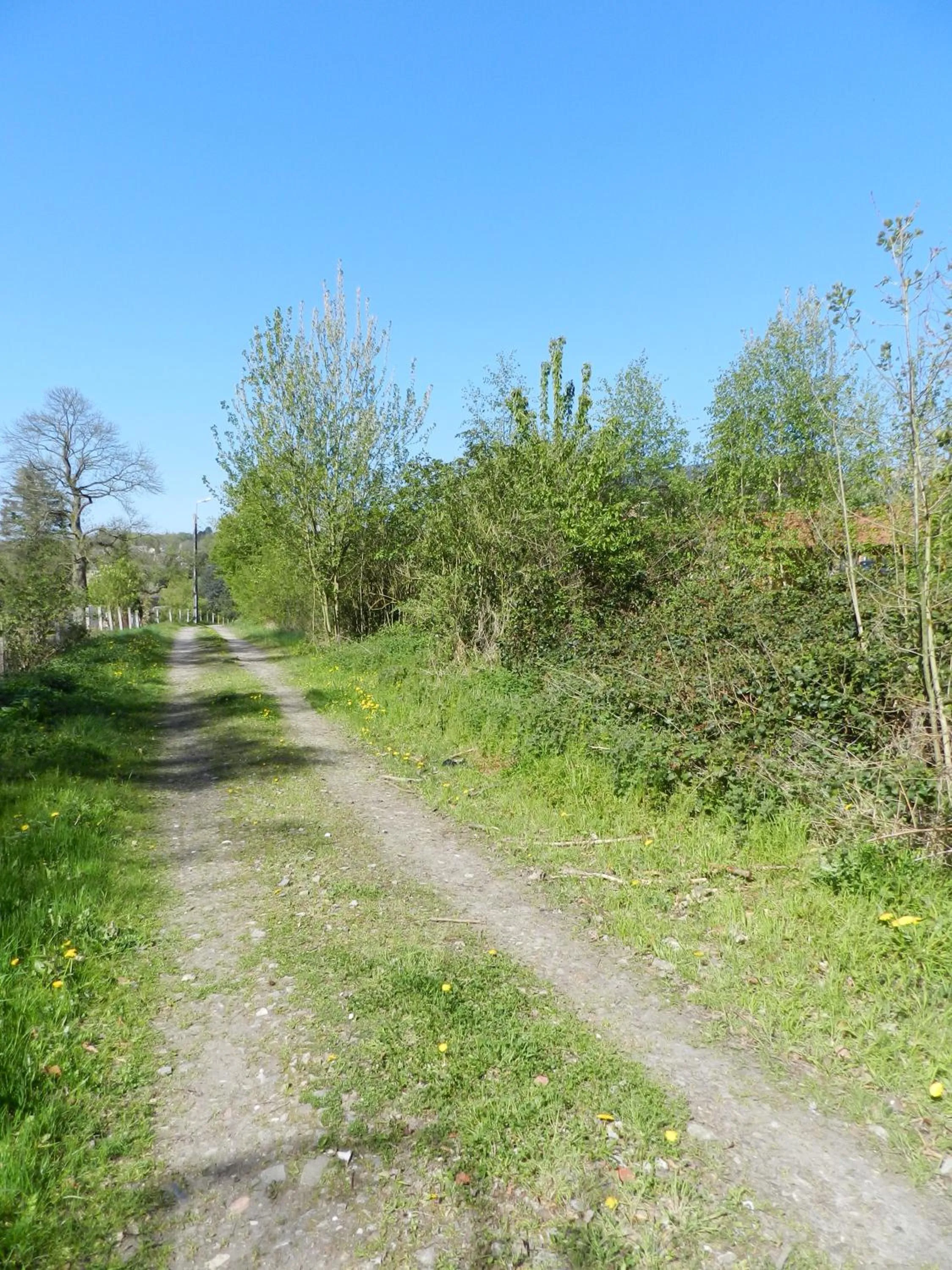Hiking in B&B Le Bois de Champia