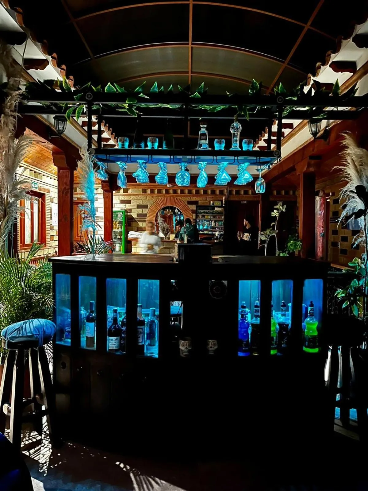 Hotel Oasis de la villa