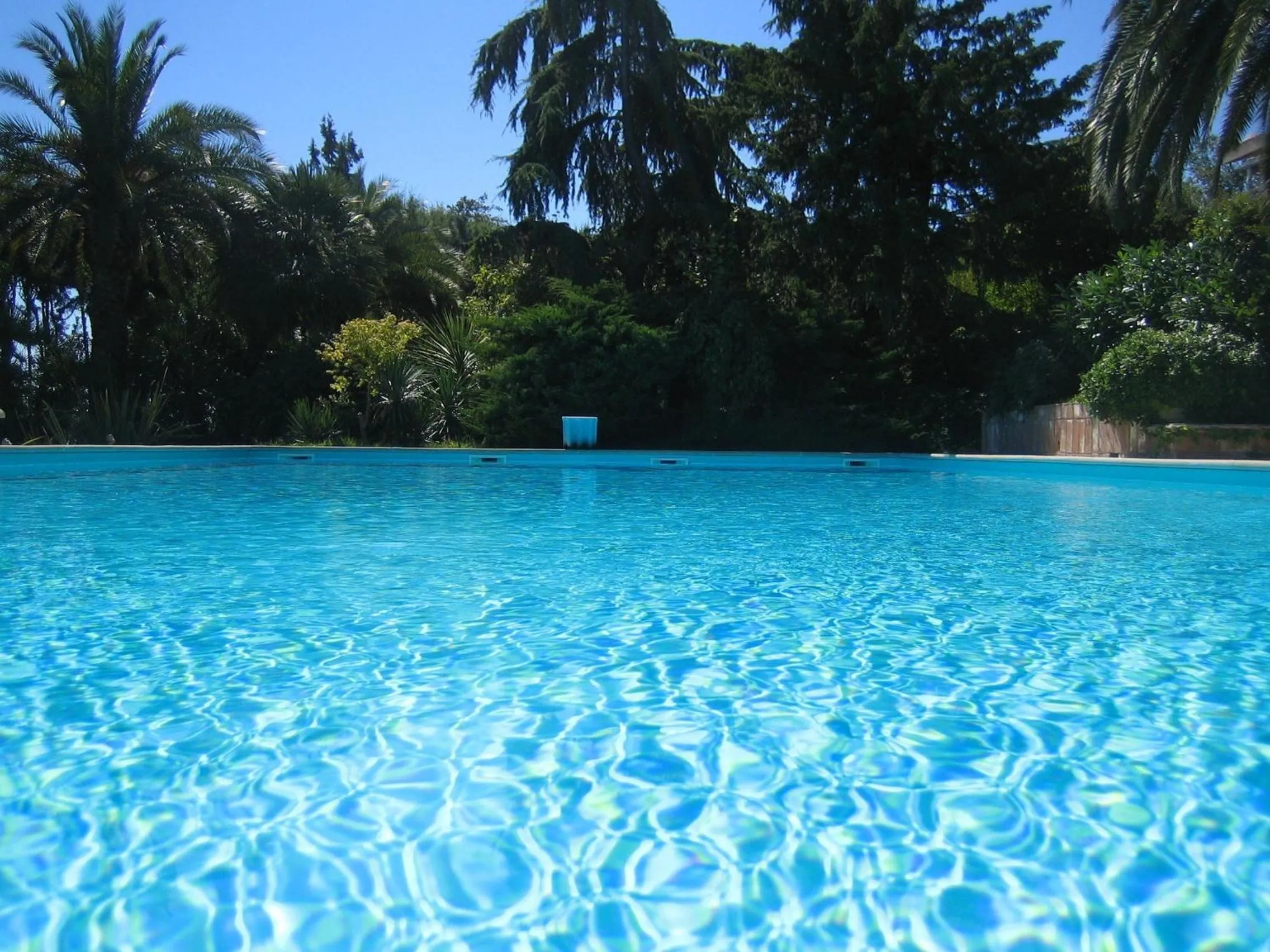 Pool view in Villa Capodarco B&B