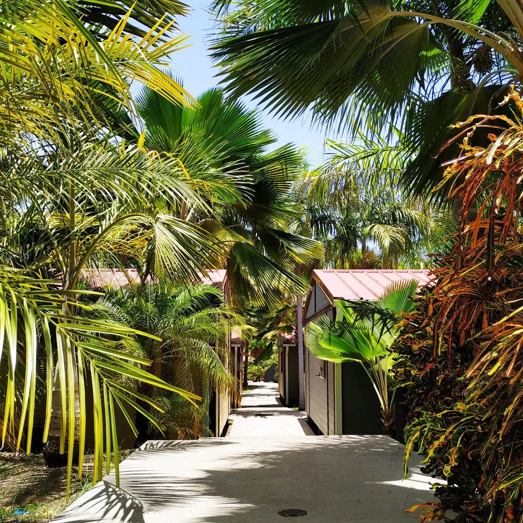 Garden in Le Village de la Pointe