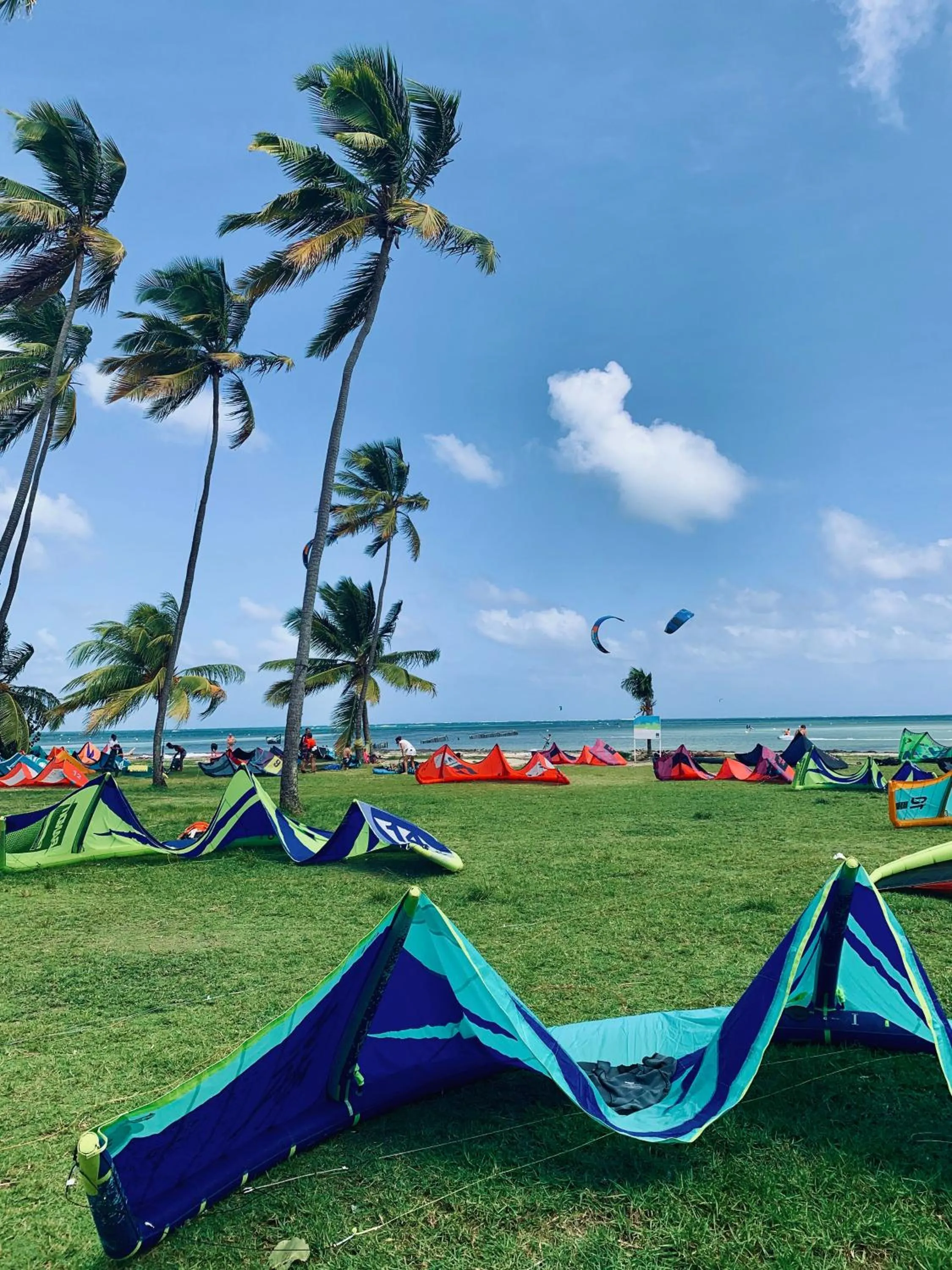 Garden in Le Village de la Pointe