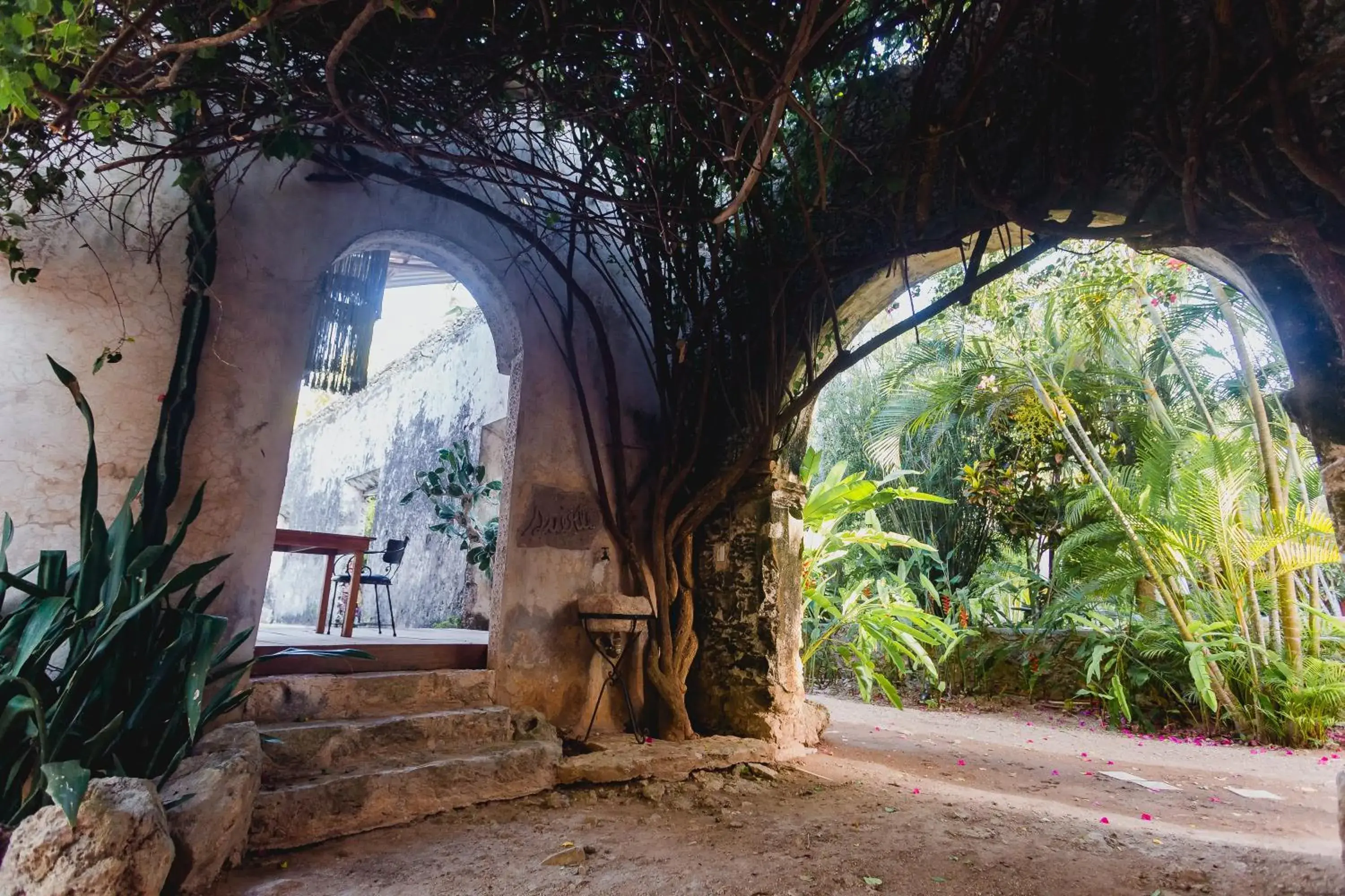 Spa and wellness centre/facilities in Hacienda Sacnicte Spa and wellness centre/facilities in Hacienda Sacnicte