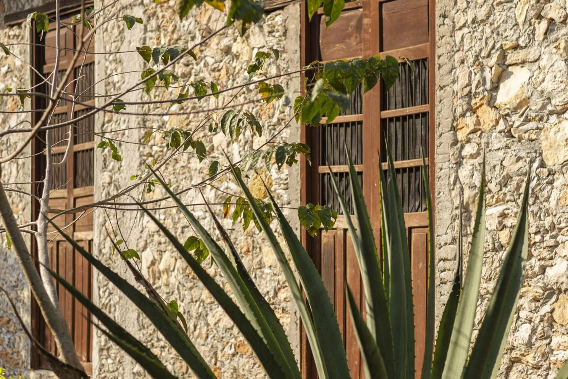 Garden in Hacienda Sacnicte